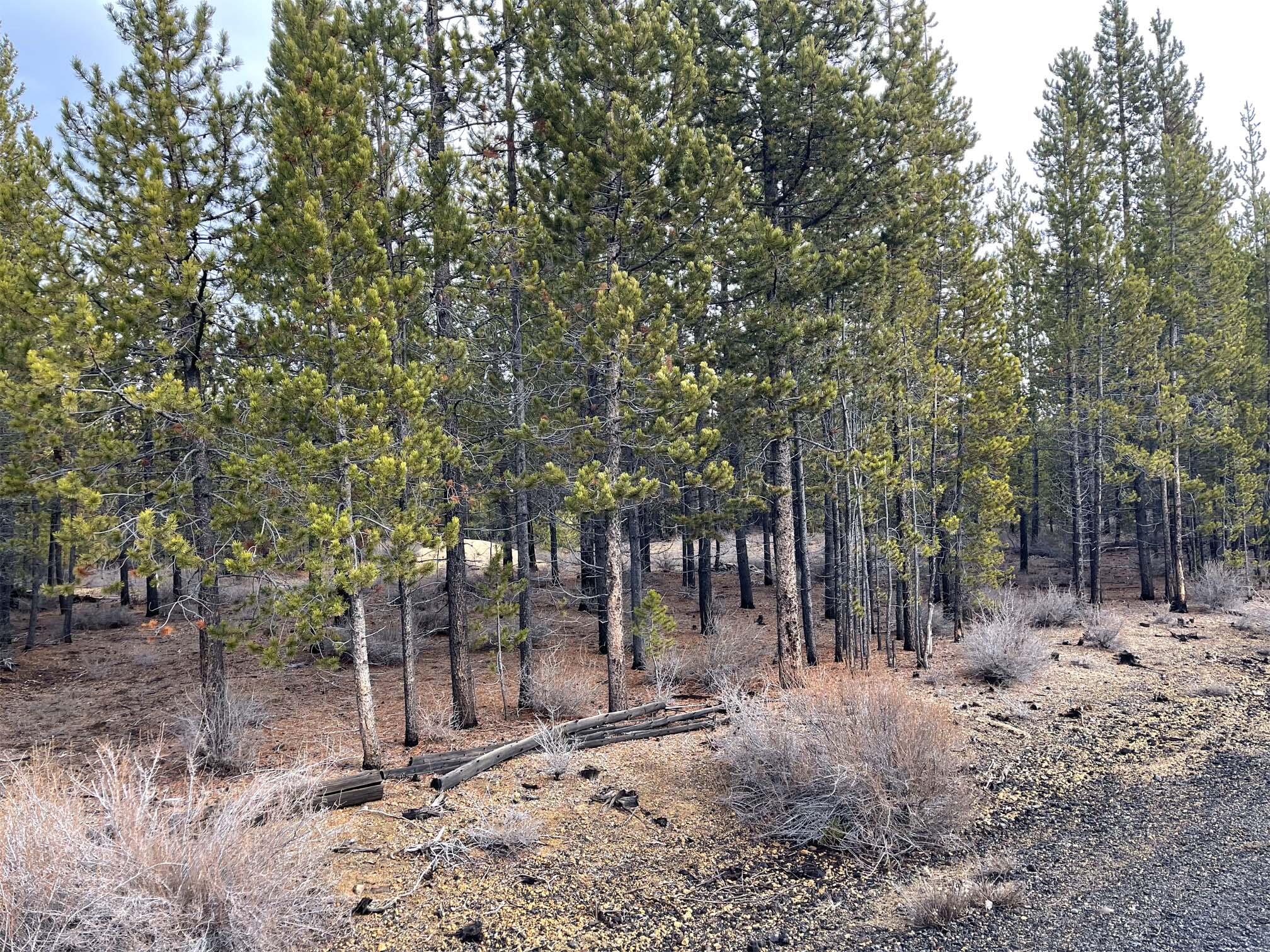 Two Rivers North - Land