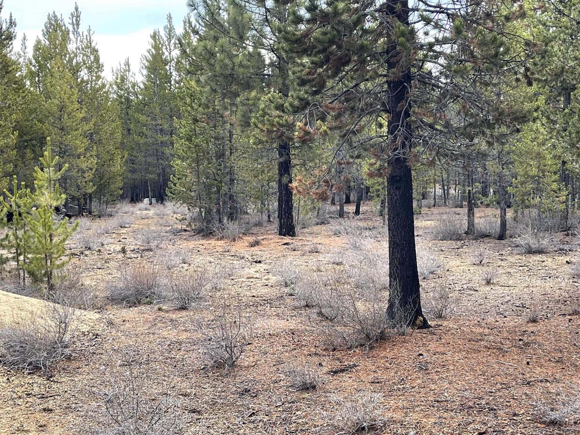 Two Rivers North - Land