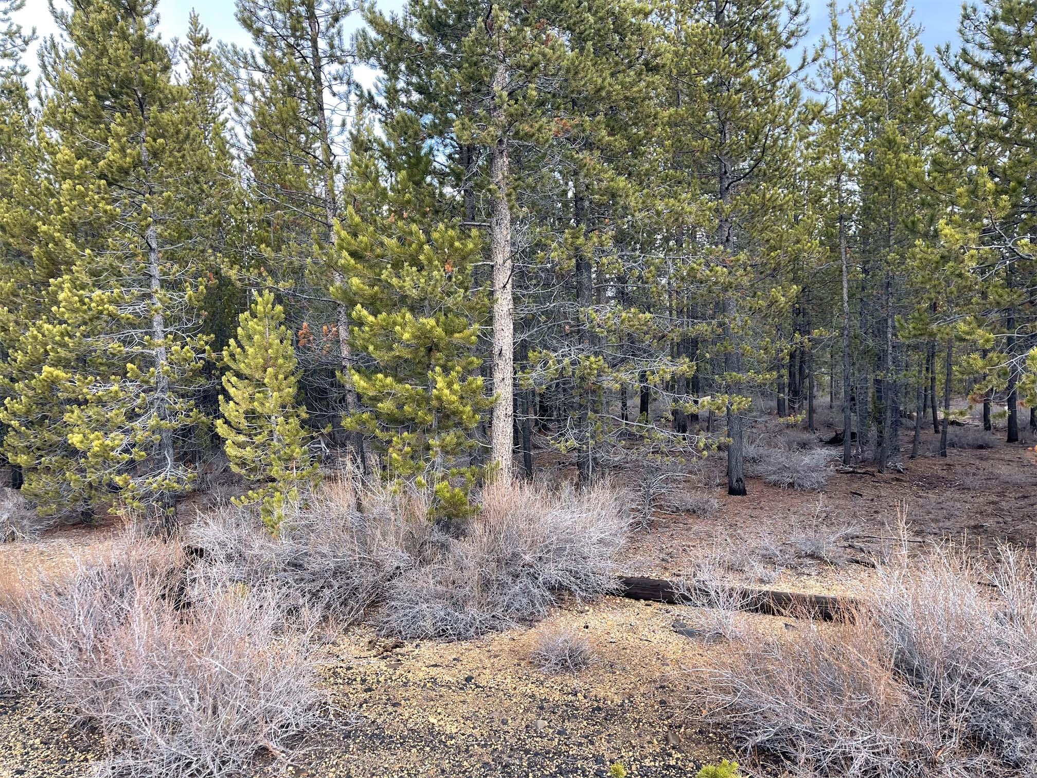 Two Rivers North - Land