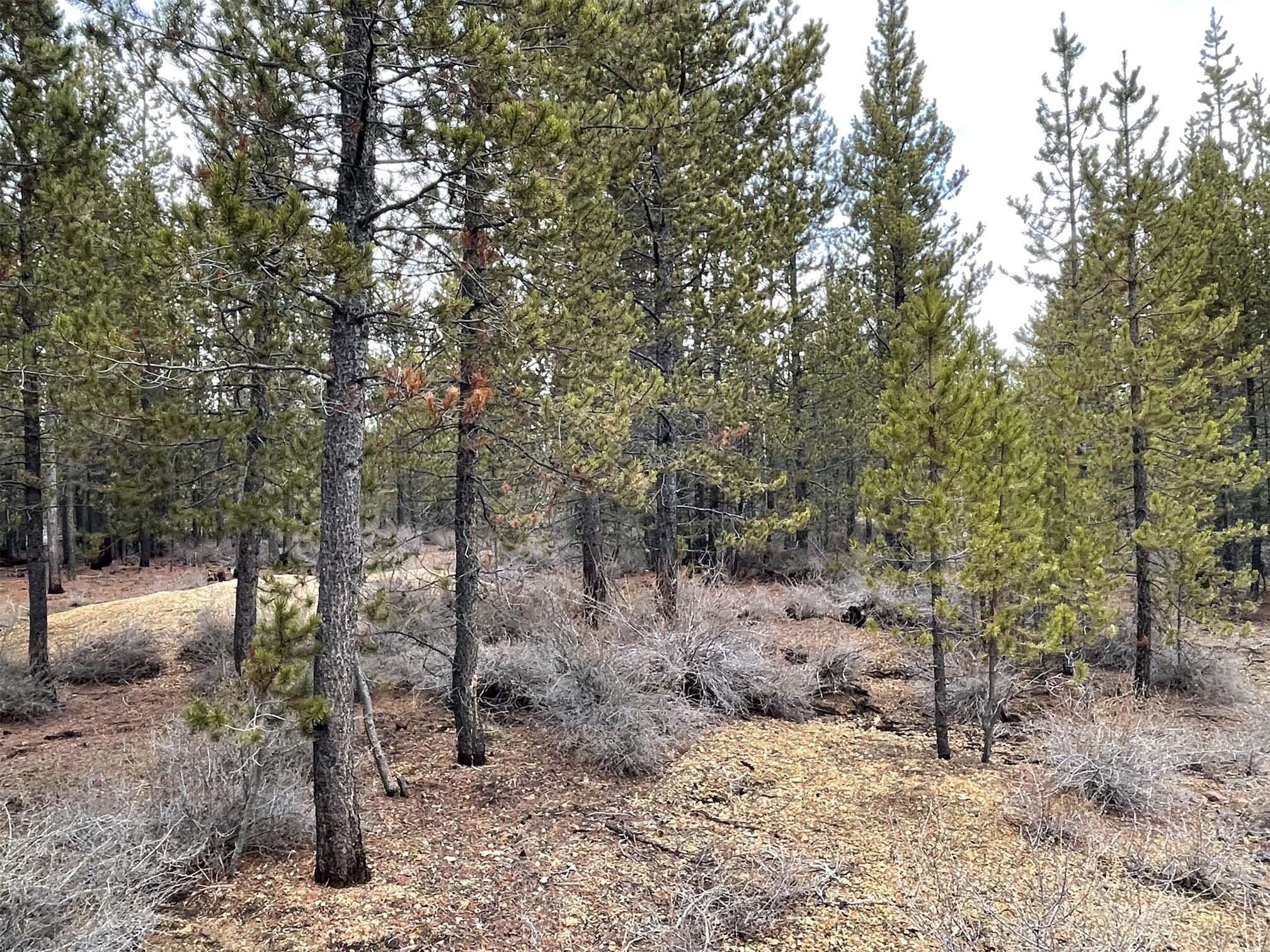 Two Rivers North - Land