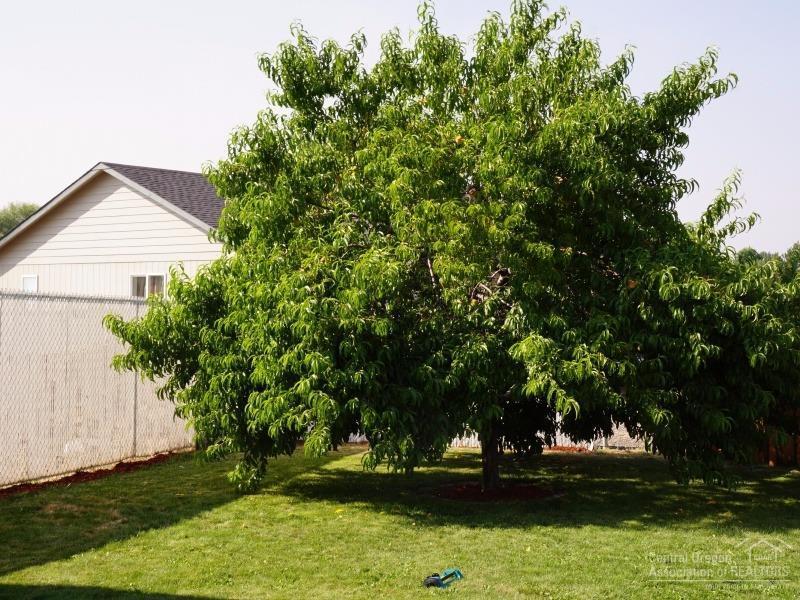 NorthR - Residential