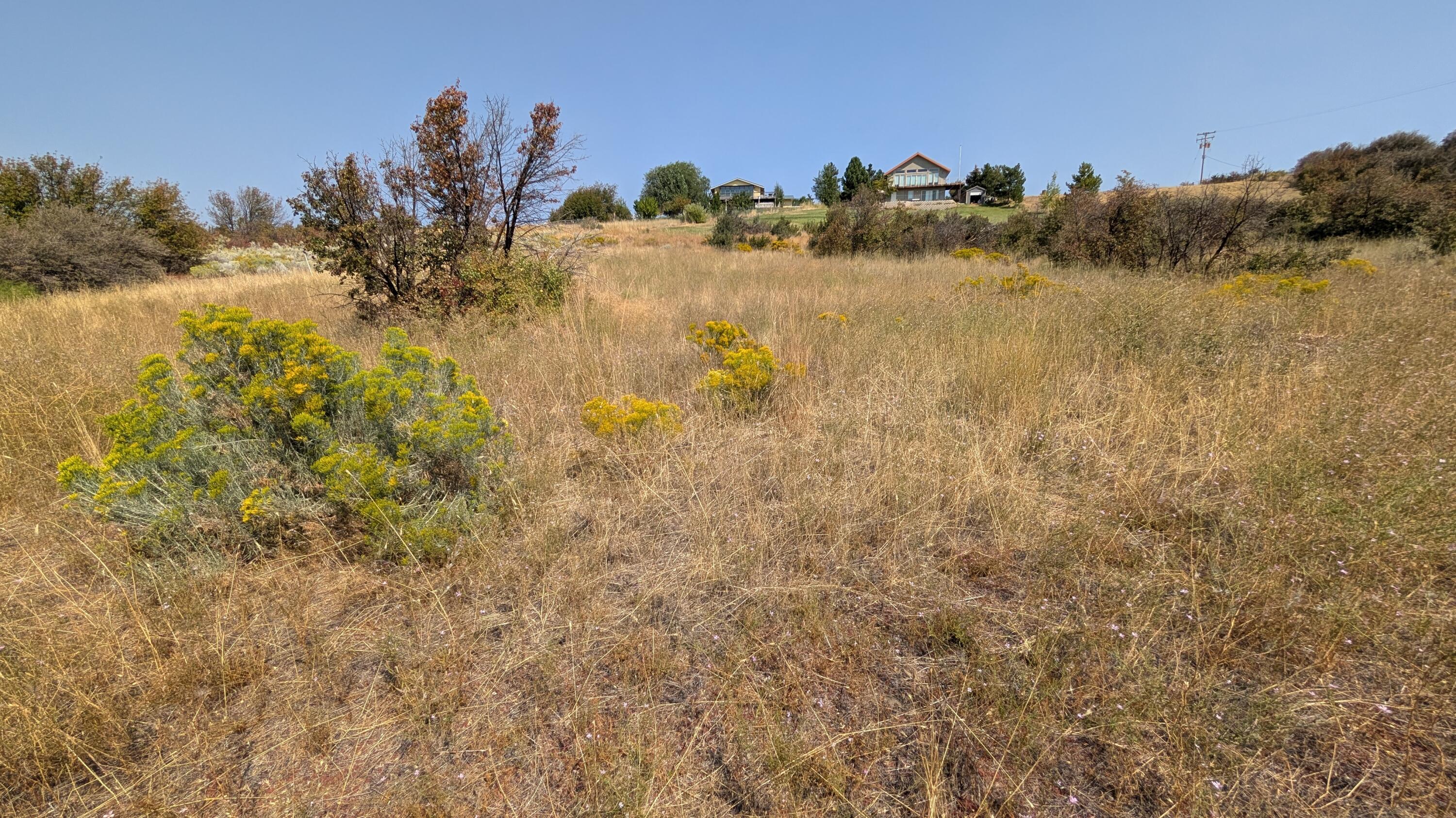 Oregon Shores - Land