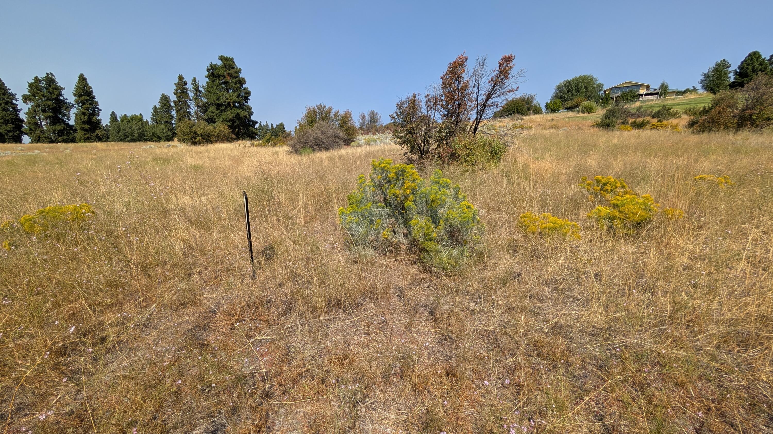 Oregon Shores - Land