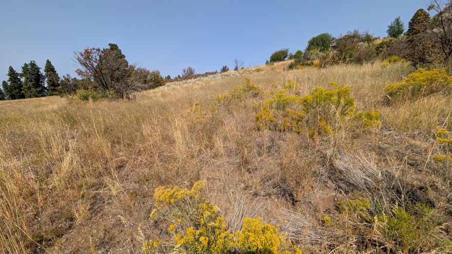 Almost a half an acre at the end of an unbuilt cul-de-sac, with views of the lake, and beautifully built homes nearby. Low HOA dues pay for water usage, road maintenance, and access to a private lake-side park. This is a prime spot, waiting for a dream build! Close to the boat ramp, a golf course, and many hiking/walking trails. Owner is an Oregon licensed Realtor.