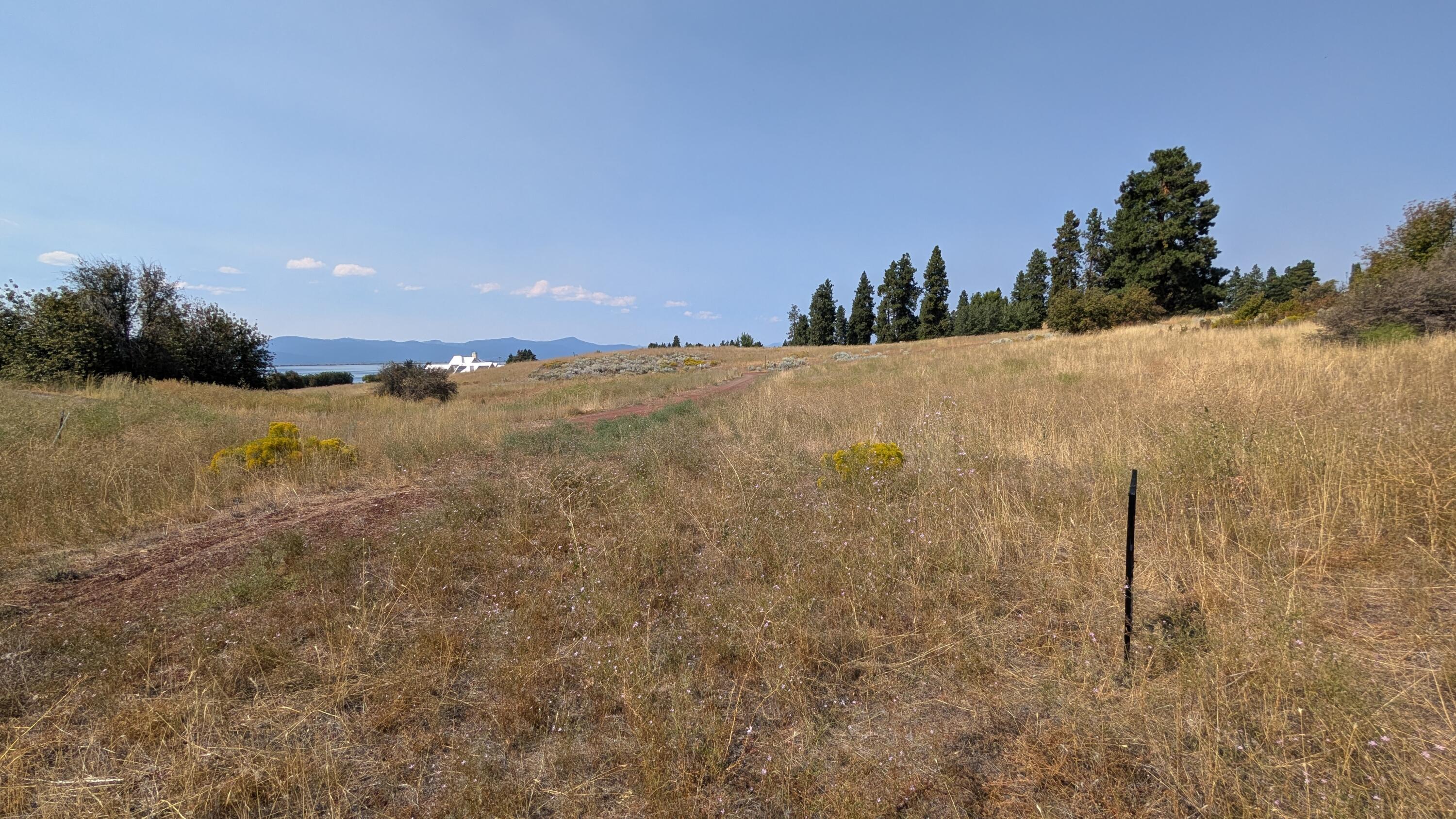 Oregon Shores - Land