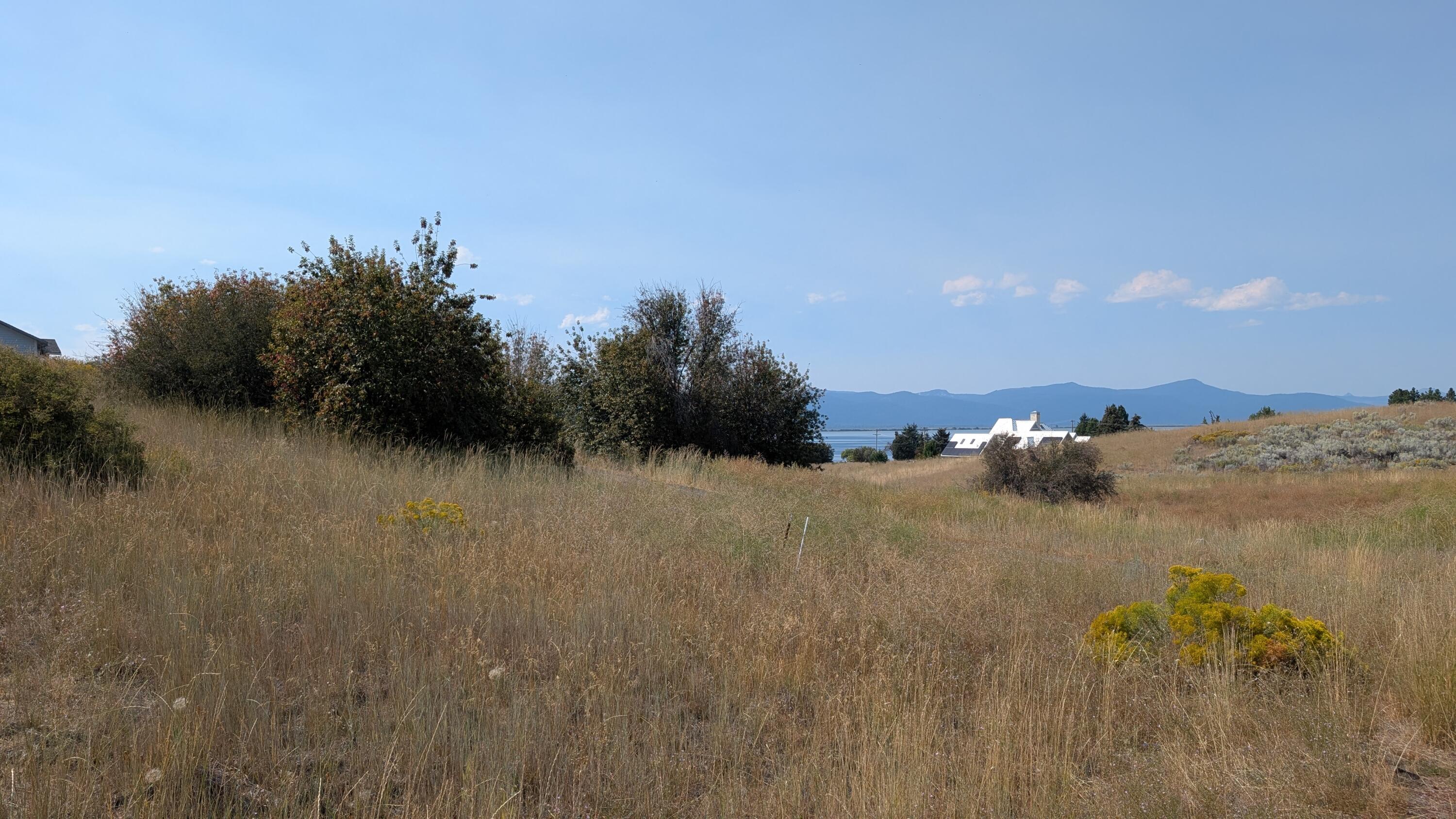 Oregon Shores - Land