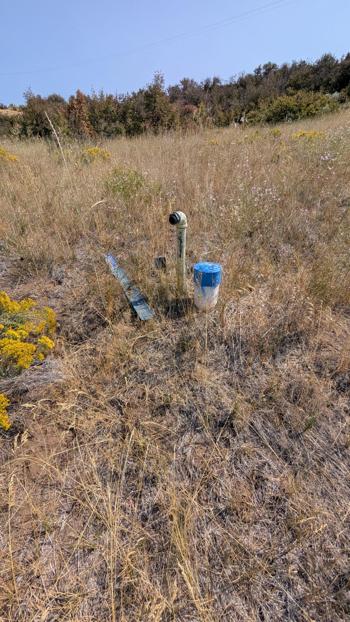 Oregon Shores - Land