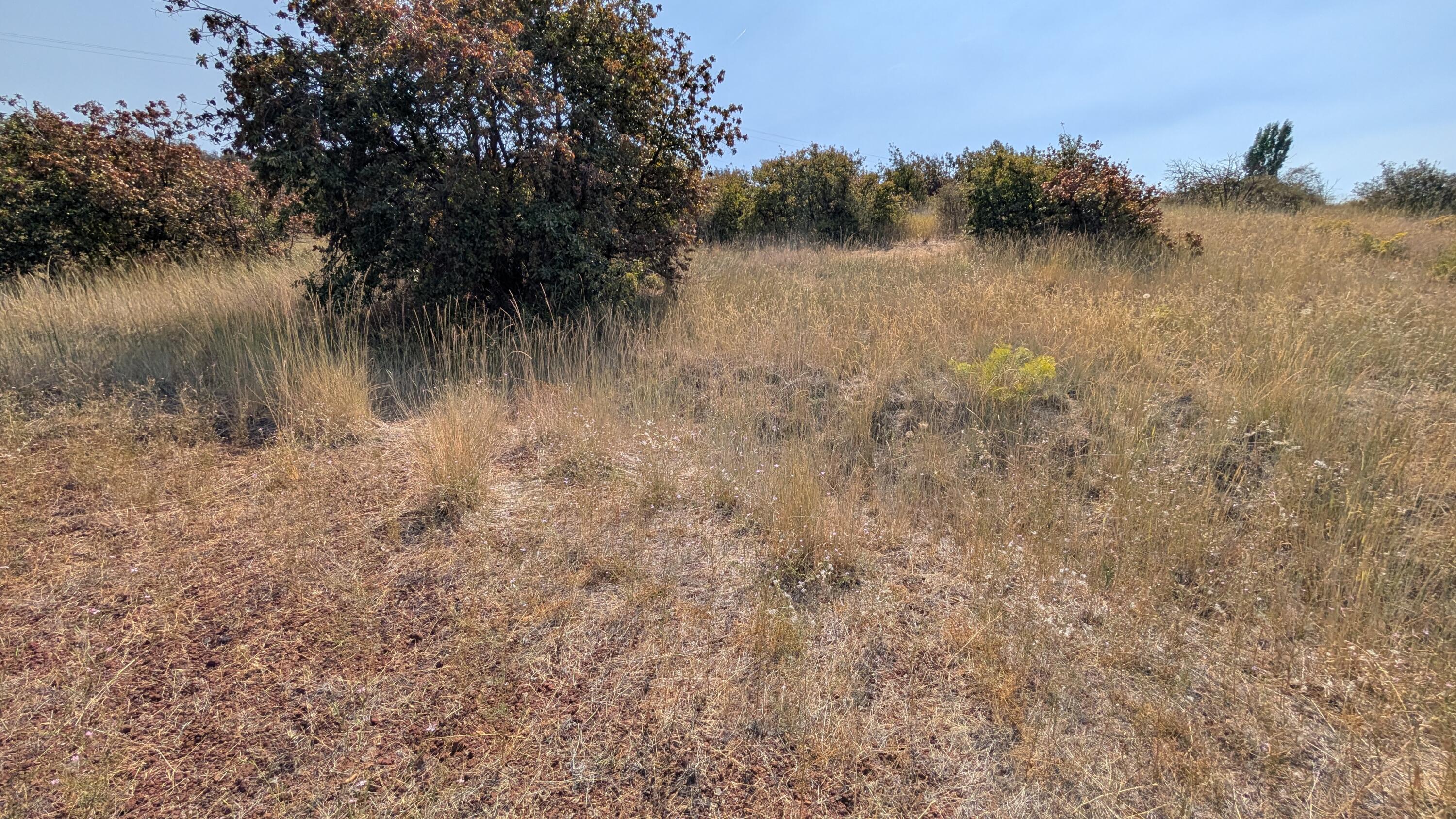 Oregon Shores - Land