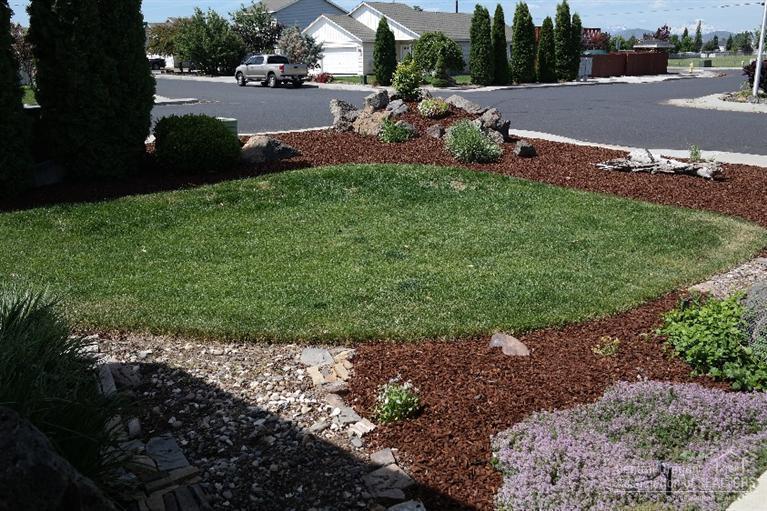 Pine Tree Meadows - Residential