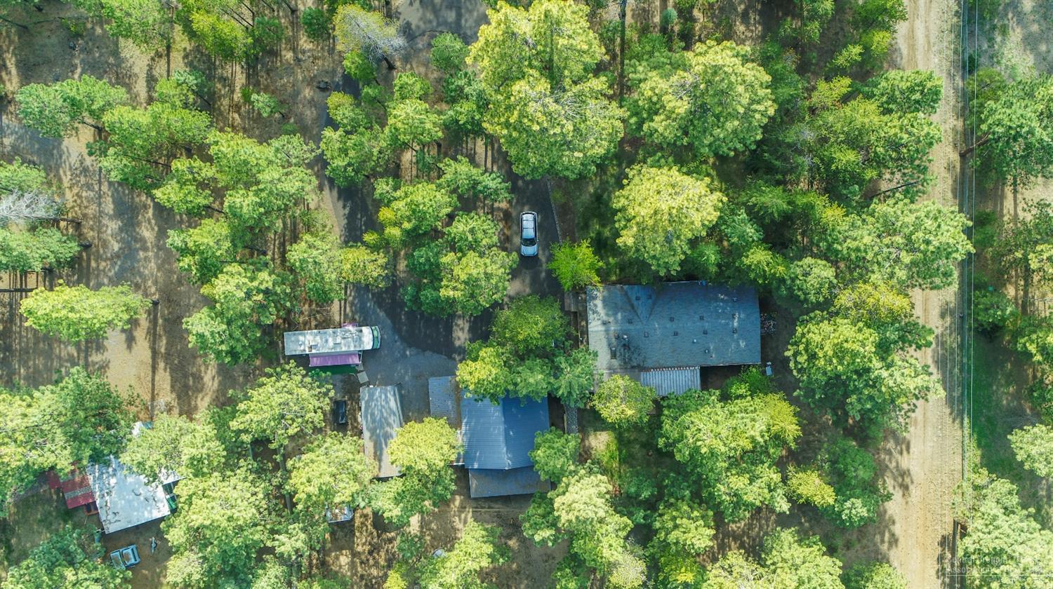 Ponderosa Pines - Residential