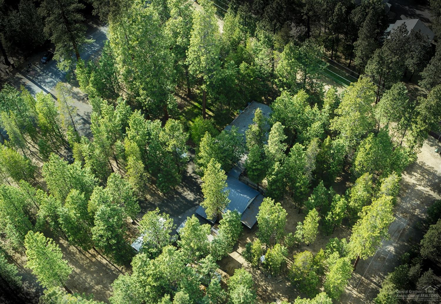 Ponderosa Pines - Residential