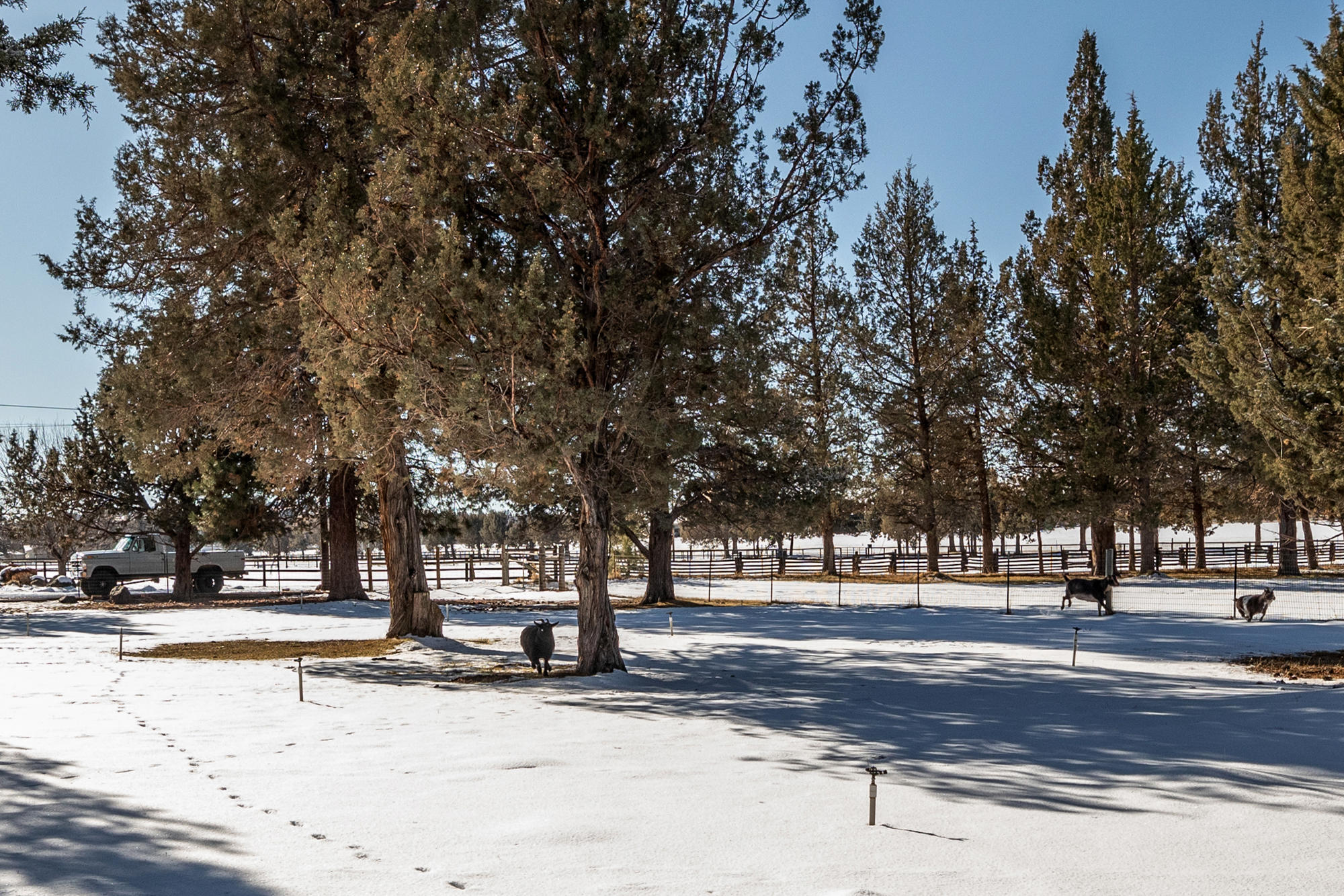 Horseshoe Acres - Residential