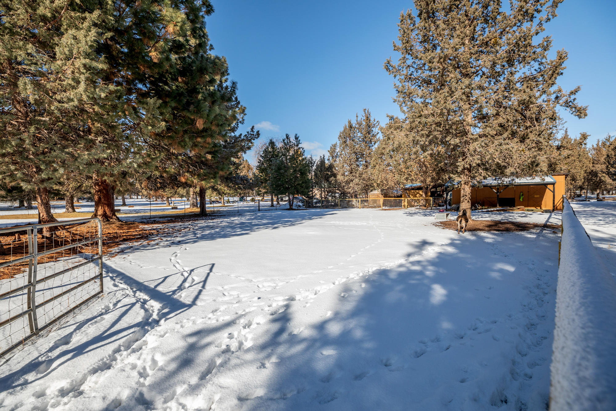 Horseshoe Acres - Residential