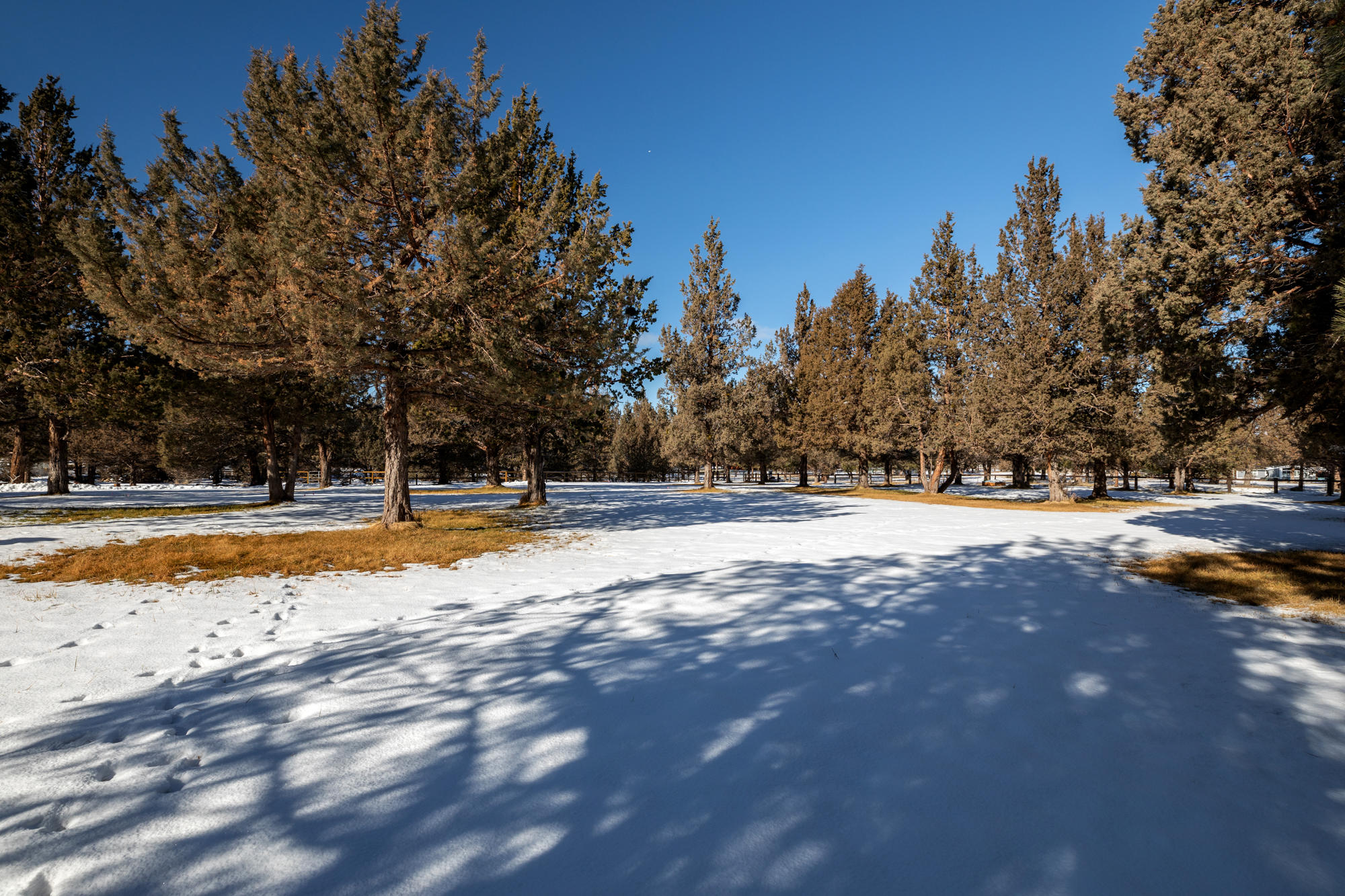 Horseshoe Acres - Residential