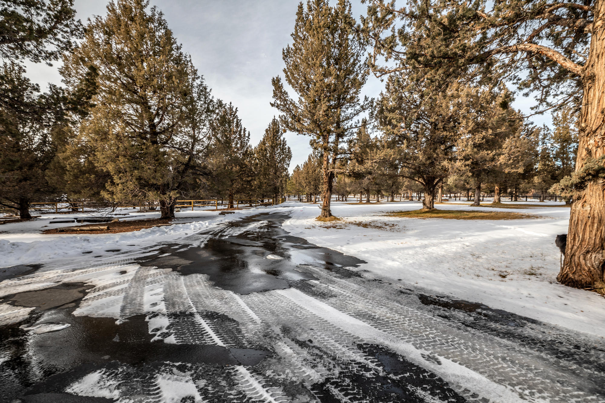 Horseshoe Acres - Residential