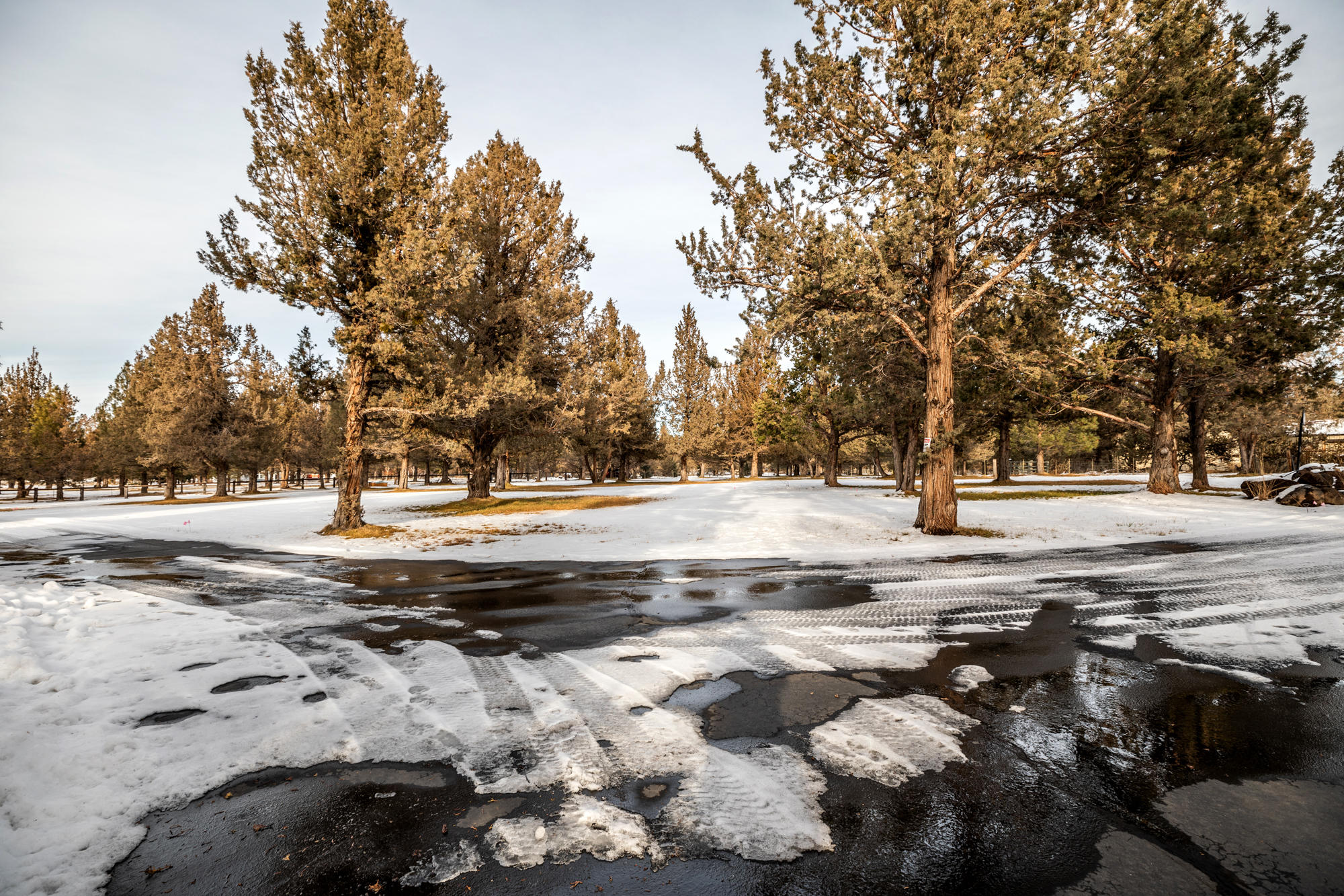 Horseshoe Acres - Residential