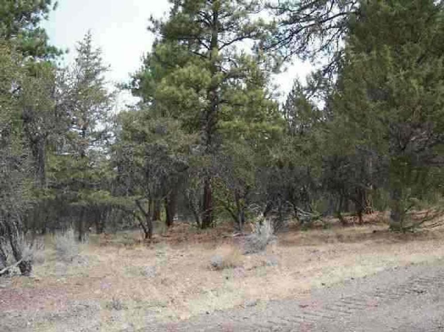 Call Agent For Directions And Maps If Needed.