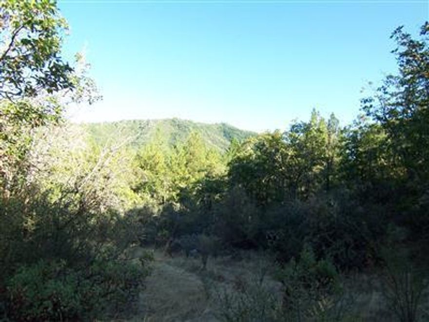 Rolling country acreage. Looking to build or place a manufactured home? You can have pleasurable country views of distant mountains or nestle in and not see anyone. Next door neighbor has excellent well. Room for animals by reopening up some of the property.