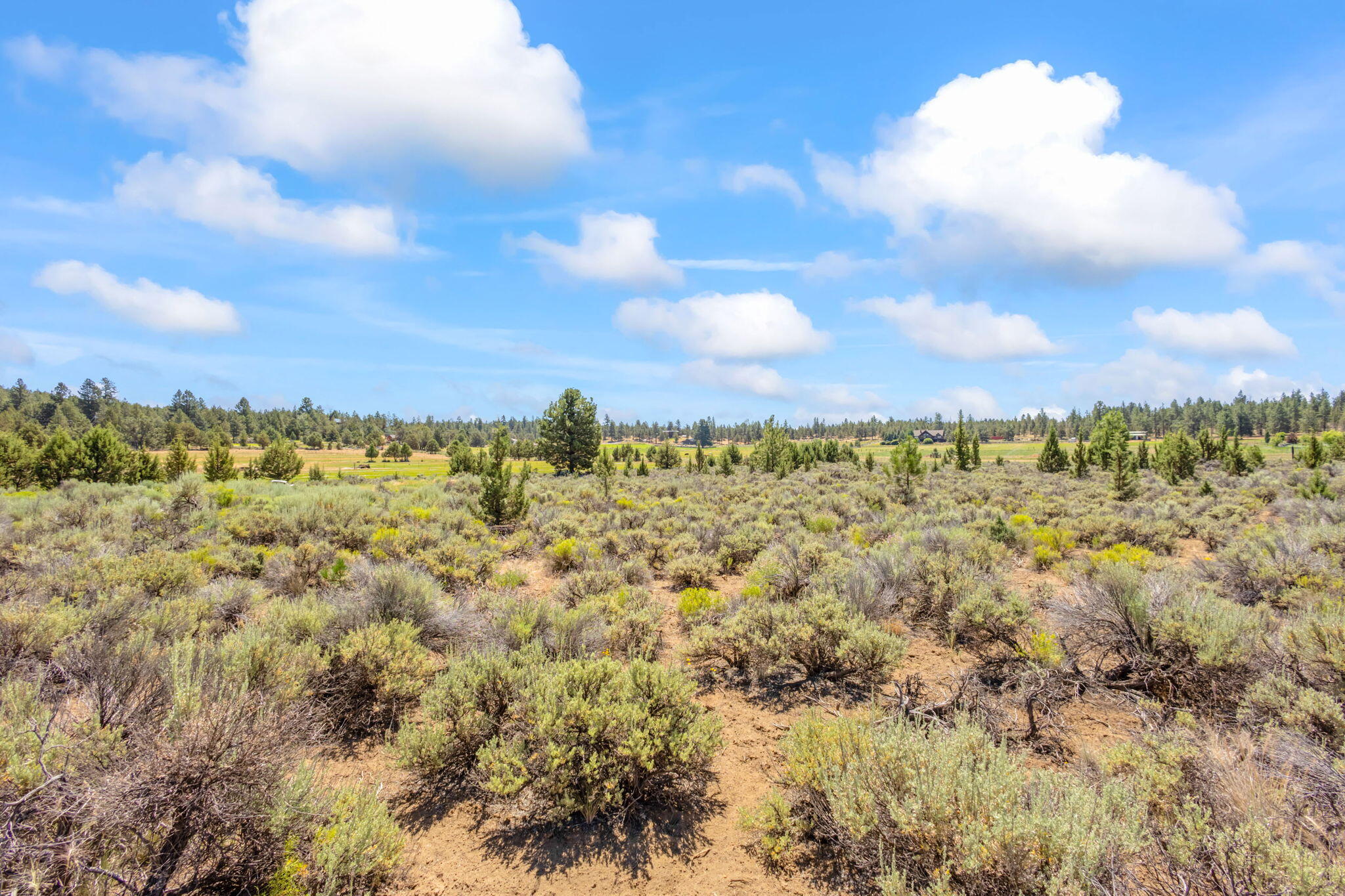69343 Hinkle Butte Drive