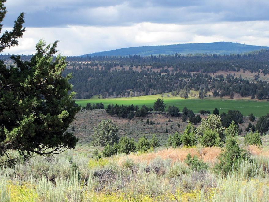 This 90 acre parcel is located in East Langell Valley with deeded access off Bunn Way. Very private in a rural setting dominated by local farms and ranches. Back to nature would describe this parcel with a wide variety of wildlife just out the front door. Check out the views of mountains and valleys in a 360 degree visual. The property includes a gravel pit which can be used to improve the roads and access from Jack Way. The Seller indicates a Conditional Use Permit has been obtained which allows a dwelling to built or placed on the property. Power is available at the south boundary.