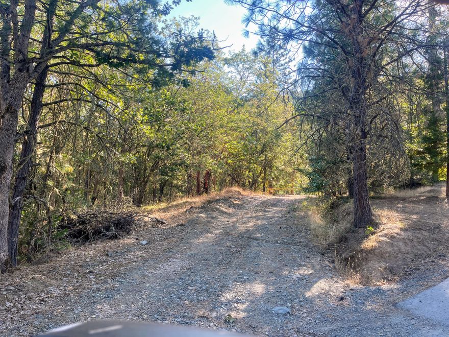 Here's an opportunity to have your home perched in a private setting. This 41 acres offers deeded access from Savage Creek Rd. There is a leveled off area for a potential home site. Zoning is WR. This rural area affords convenient access to the freeway and a short drive to the town of Rogue River or Grants Pass. Adjoins over 900 acres of Federal BLM land.