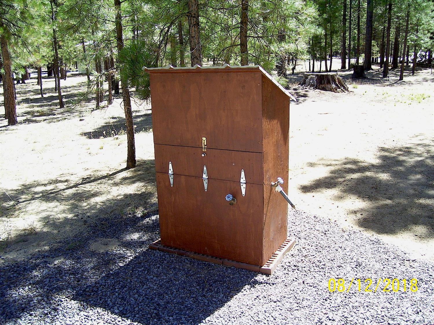 Ponderosa Pines - Land