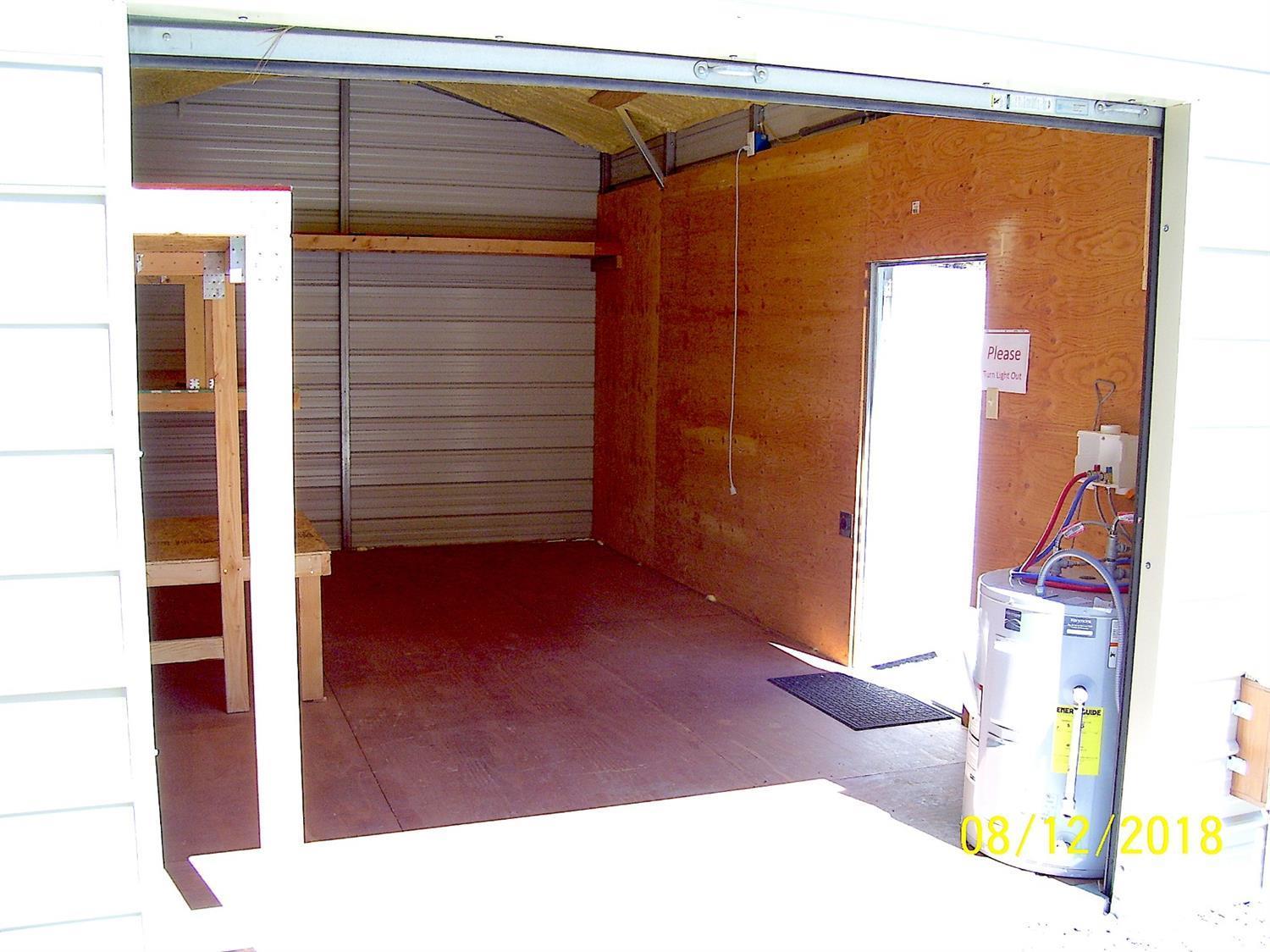 Ponderosa Pines - Land