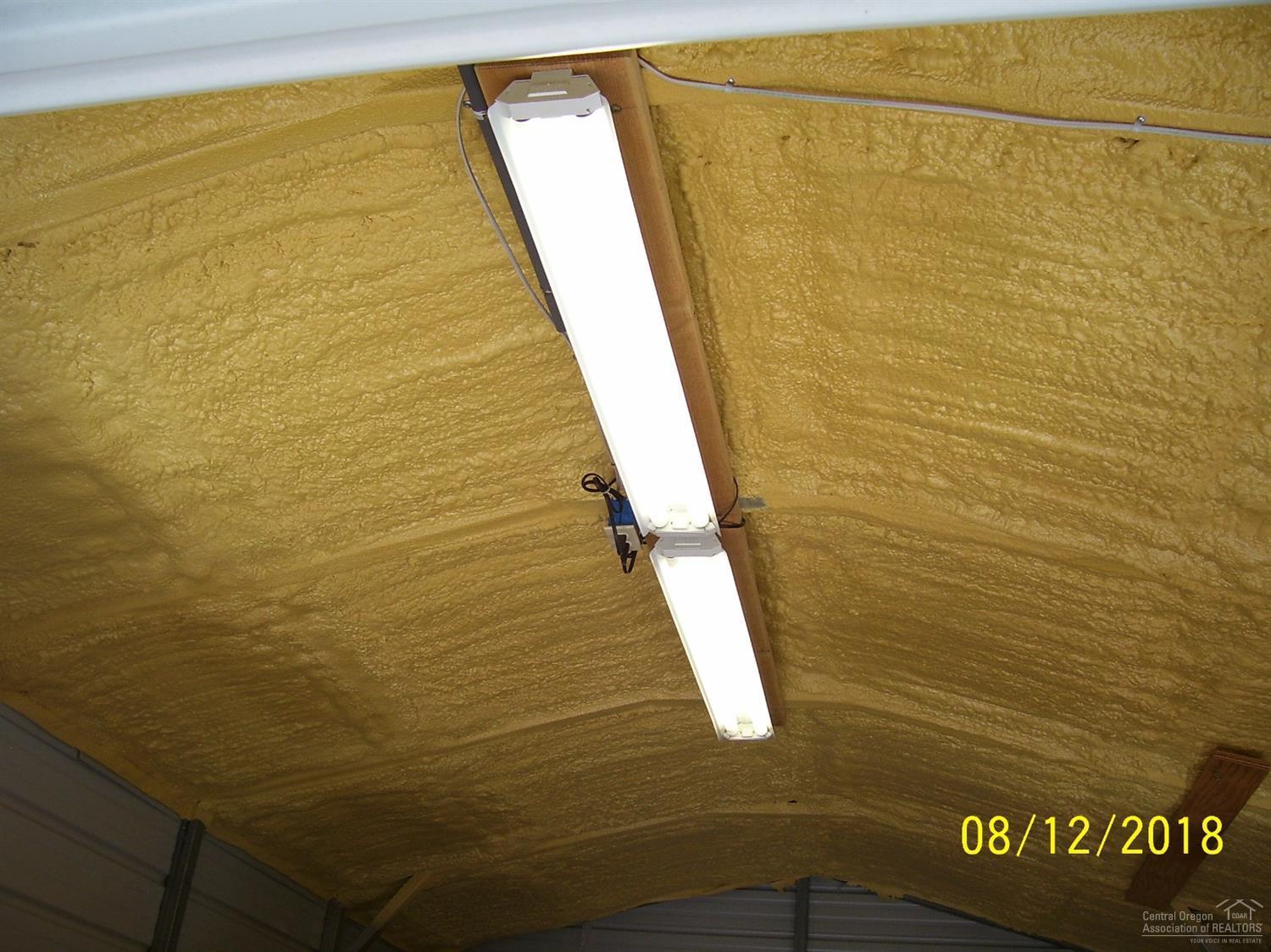 Ponderosa Pines - Land