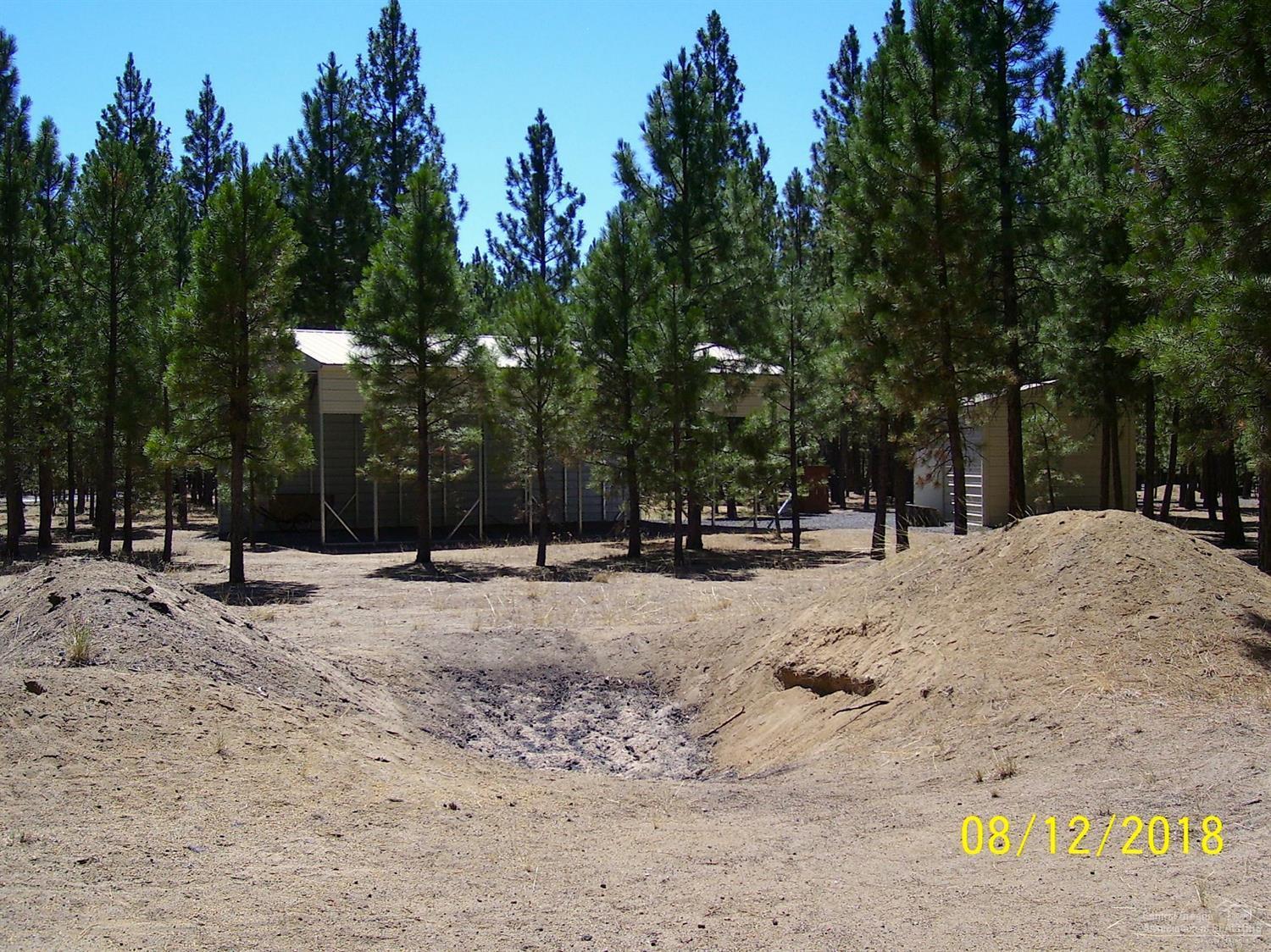 Ponderosa Pines - Land