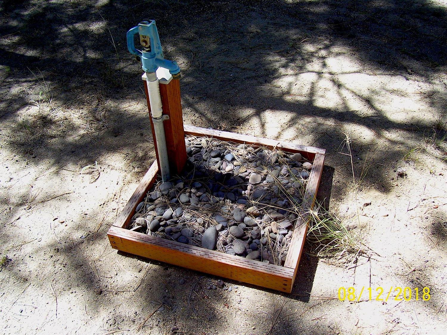 Ponderosa Pines - Land