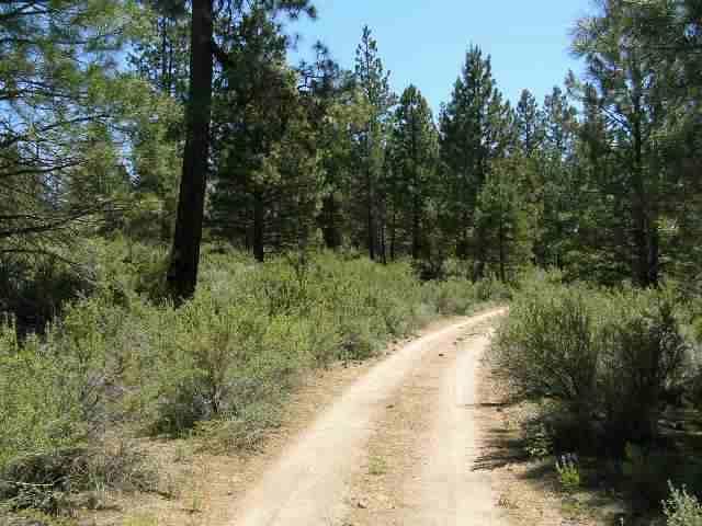 Sprague River - Land