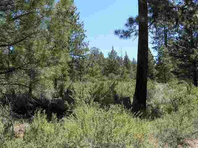 Sprague River - Land