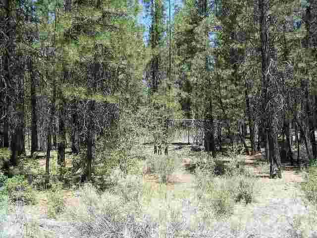 Sprague River - Land