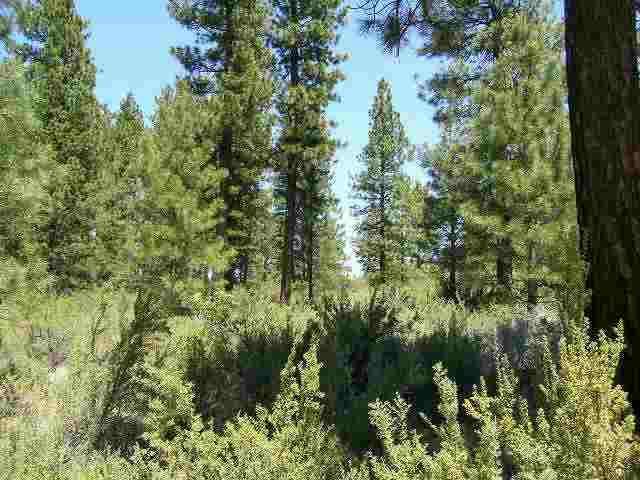 Sprague River - Land