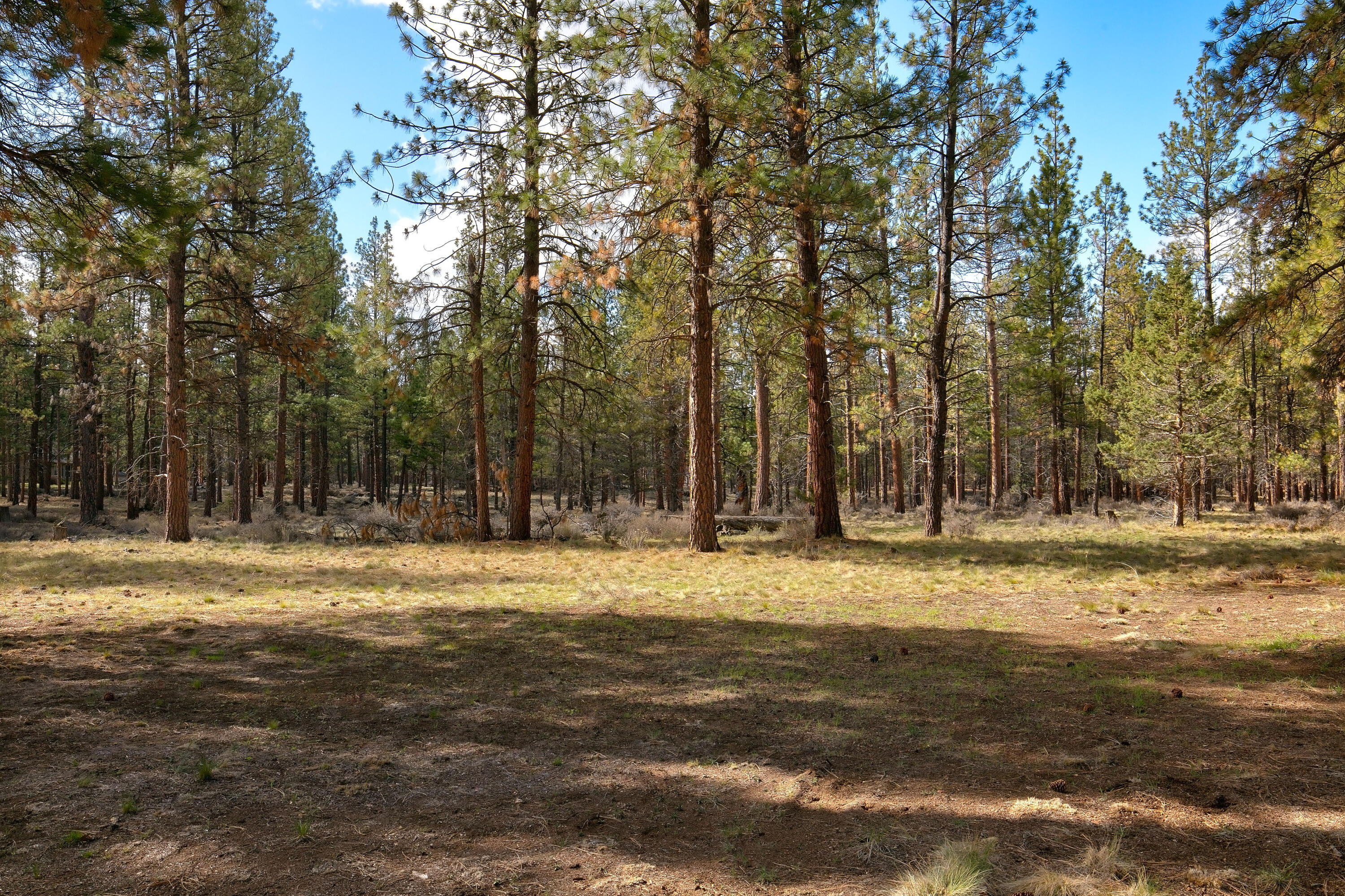 Sage Meadow - Residential
