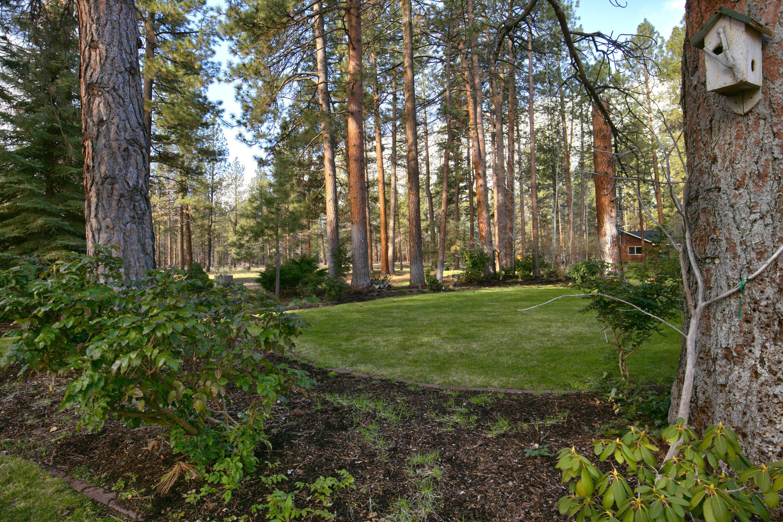 Sage Meadow - Residential