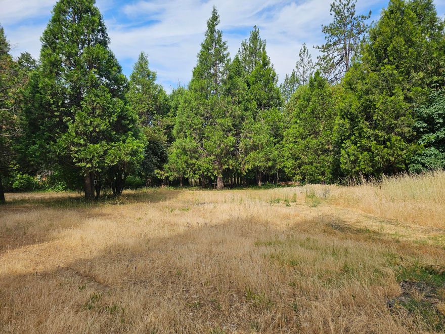 Opportunity awaits on this 3.13-acre property! Nestled in a peaceful setting, this parcel offers the flexibility to either renovate the existing older manufactured home or start fresh and build your dream home. The property already has infrastructure in place, making it easier to bring your vision to life. A large shop on site provides valuable workspace or storage—structurally sound, though in need of some cosmetic TLC. The land itself is a nice mix of flat and gently sloped terrain, with a seasonal creek, open meadow, and treed areas offering both usability and charm.