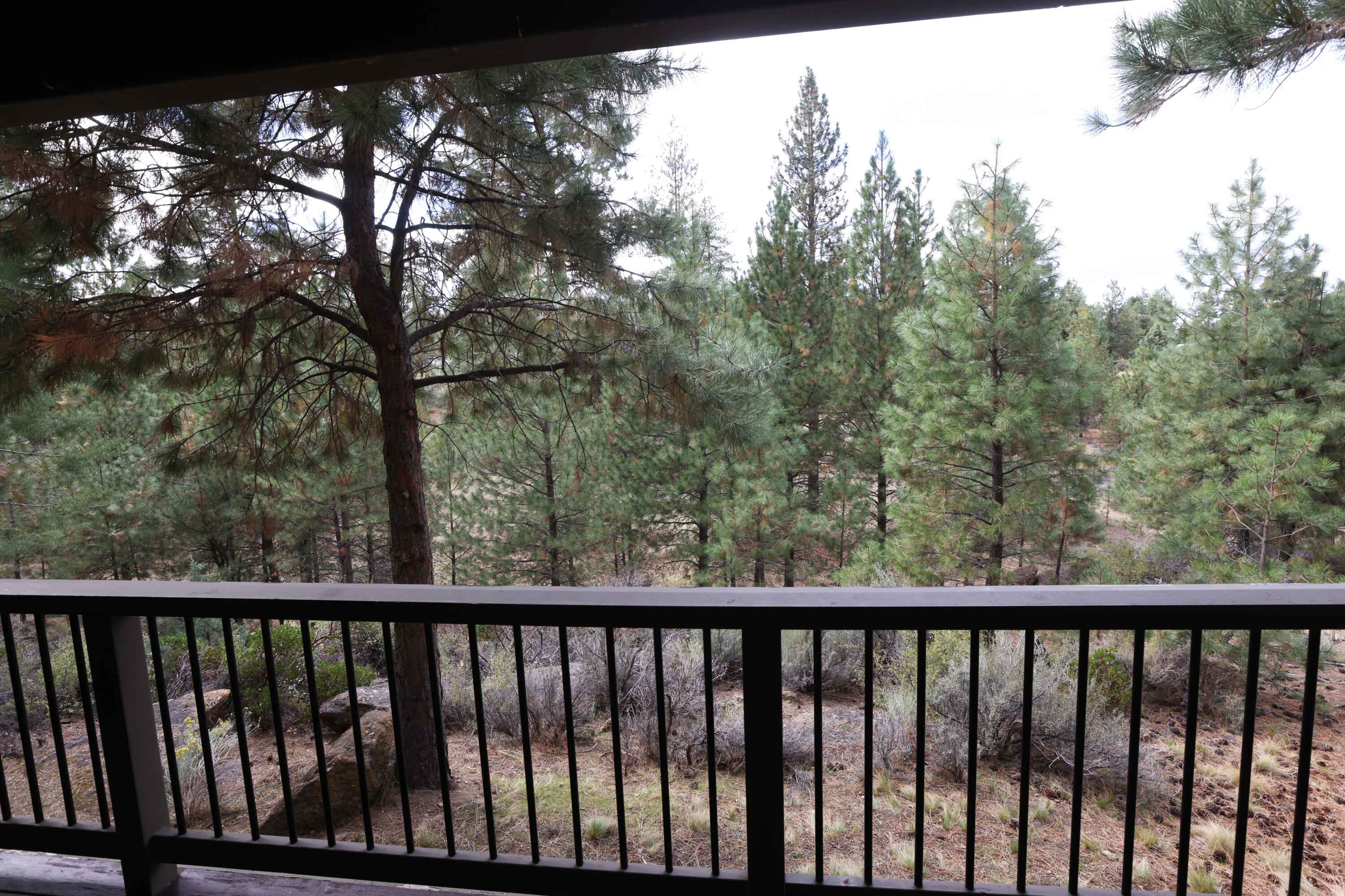 Mt Bachelor Village - Residential