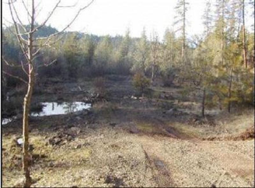 Your own quiet, secluded, serene valley. Homesite approved. Wildlife sensitive area. Fish bearing stream.