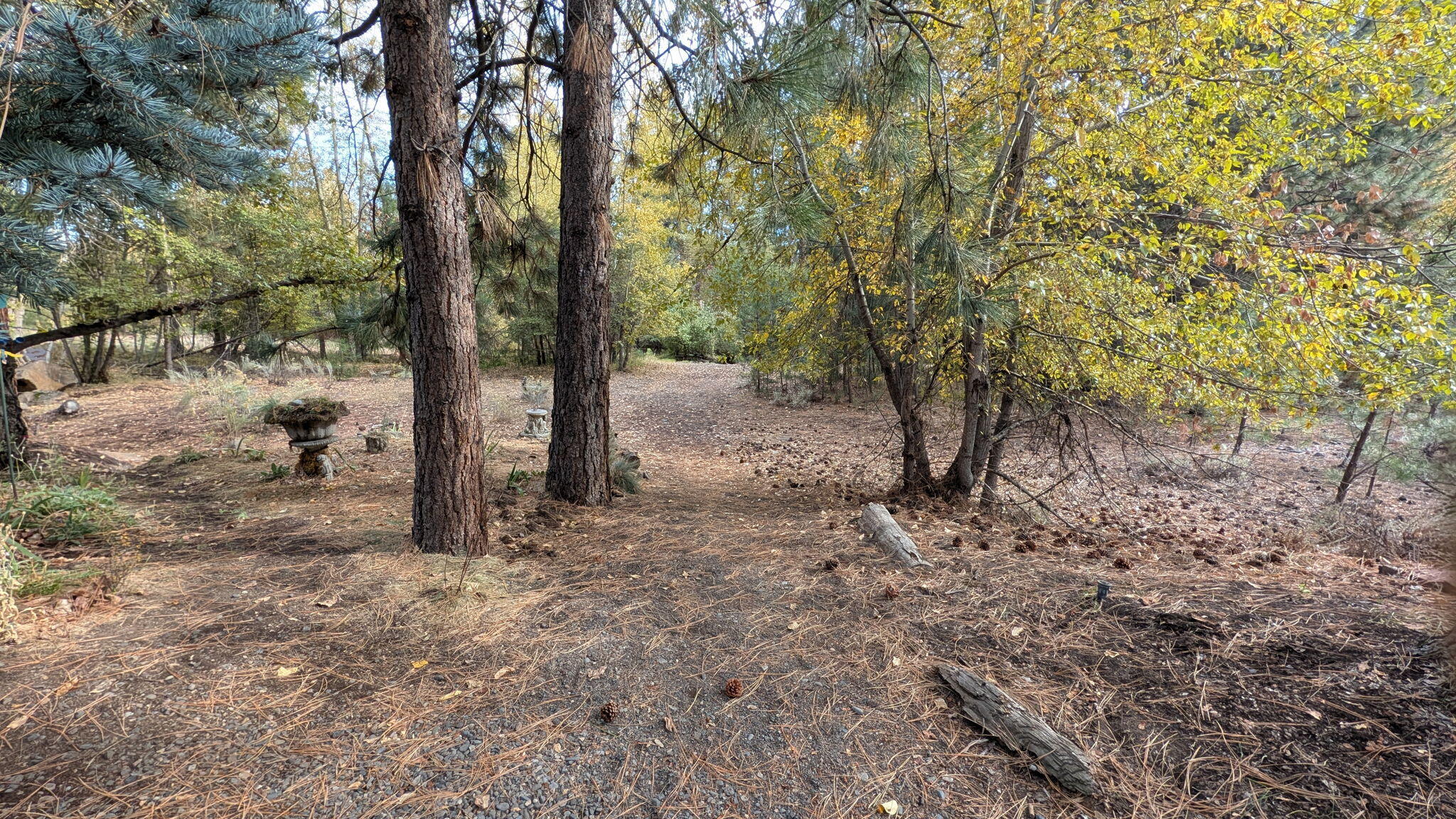 Roaring Springs - Residential