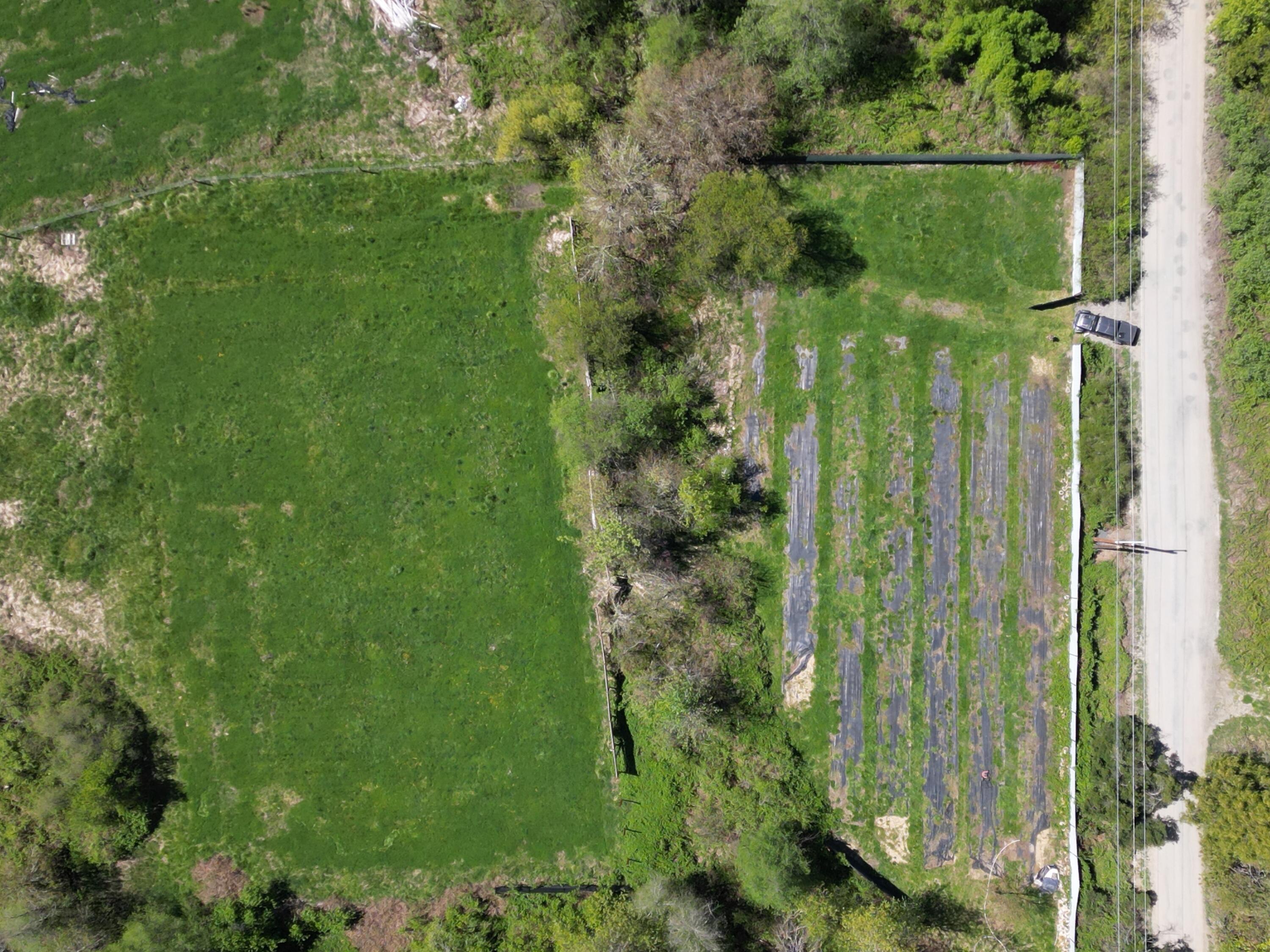 Harbeck Place (1900) Subdivision - Land