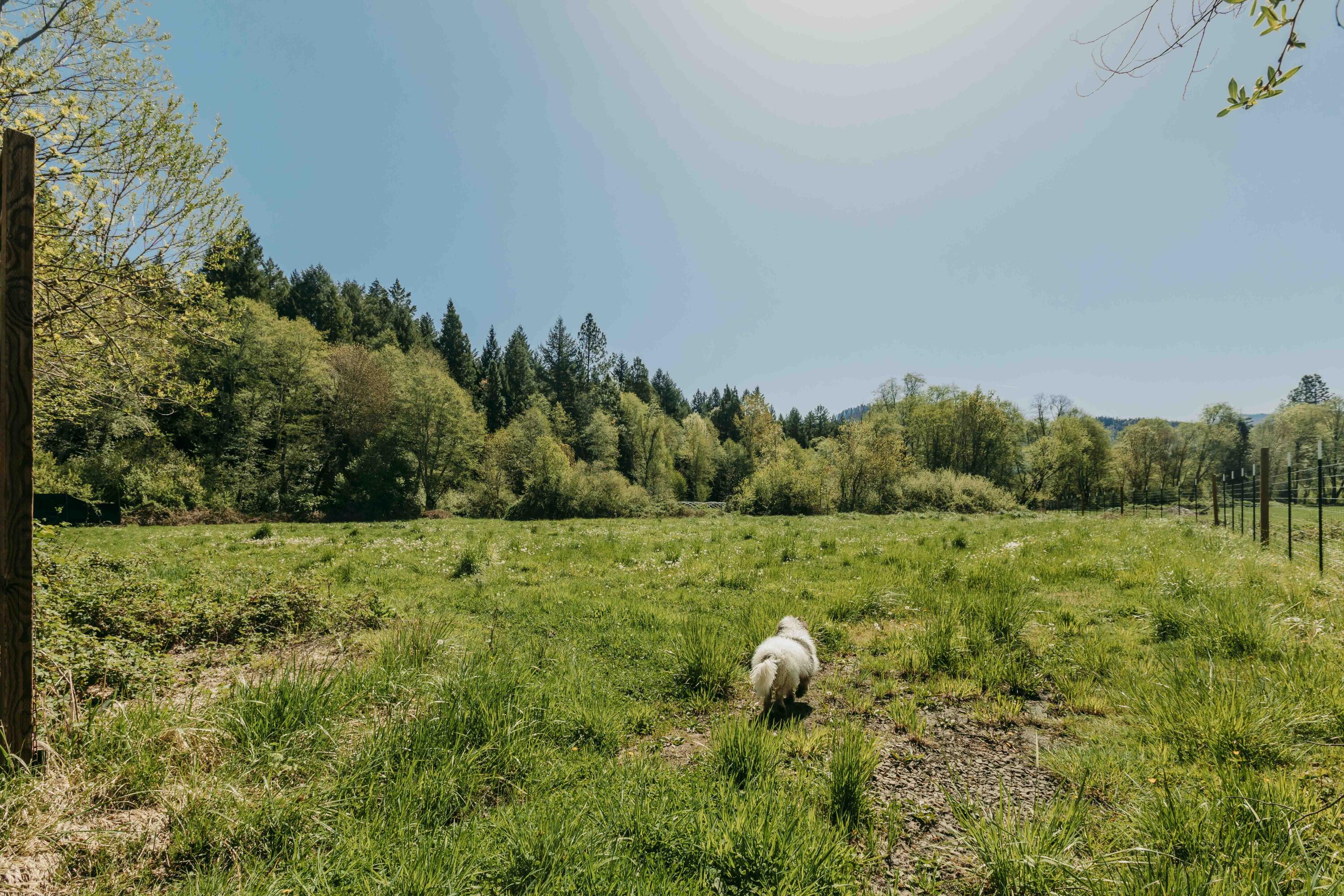 Harbeck Place (1900) Subdivision - Land