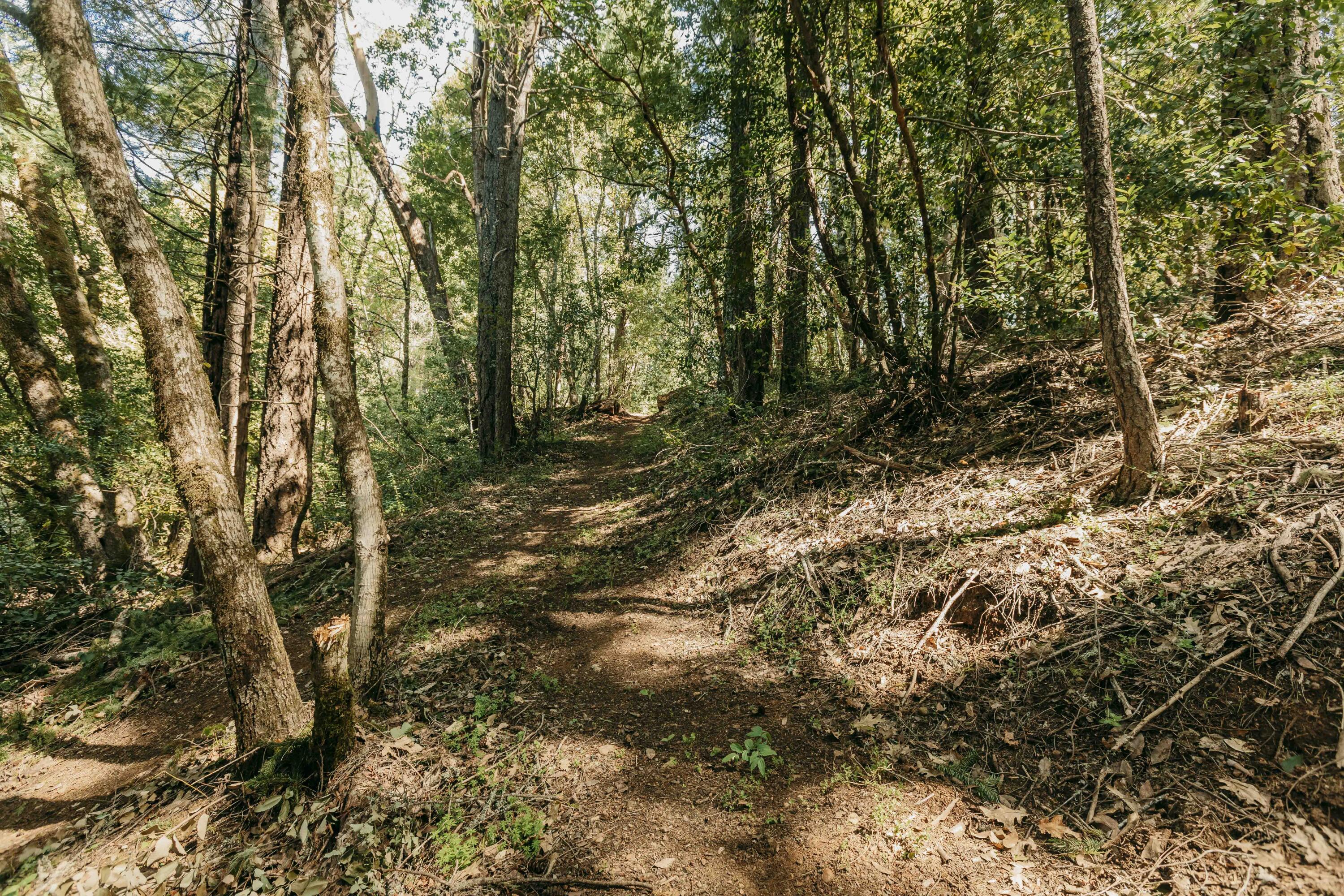 Harbeck Place (1900) Subdivision - Land