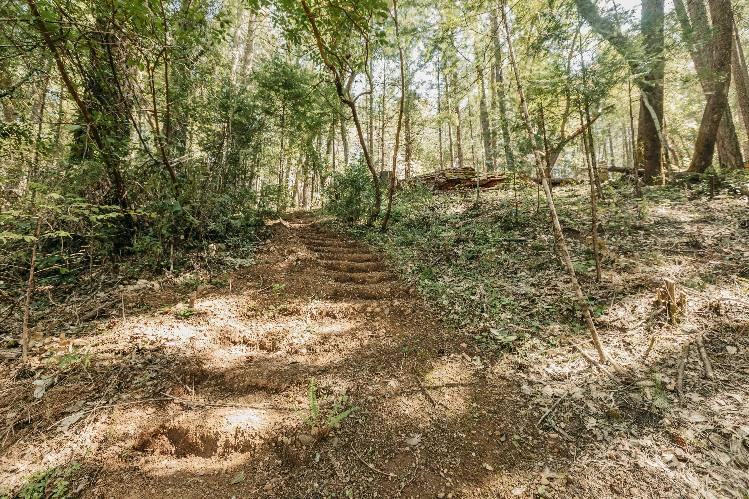 Harbeck Place (1900) Subdivision - Land