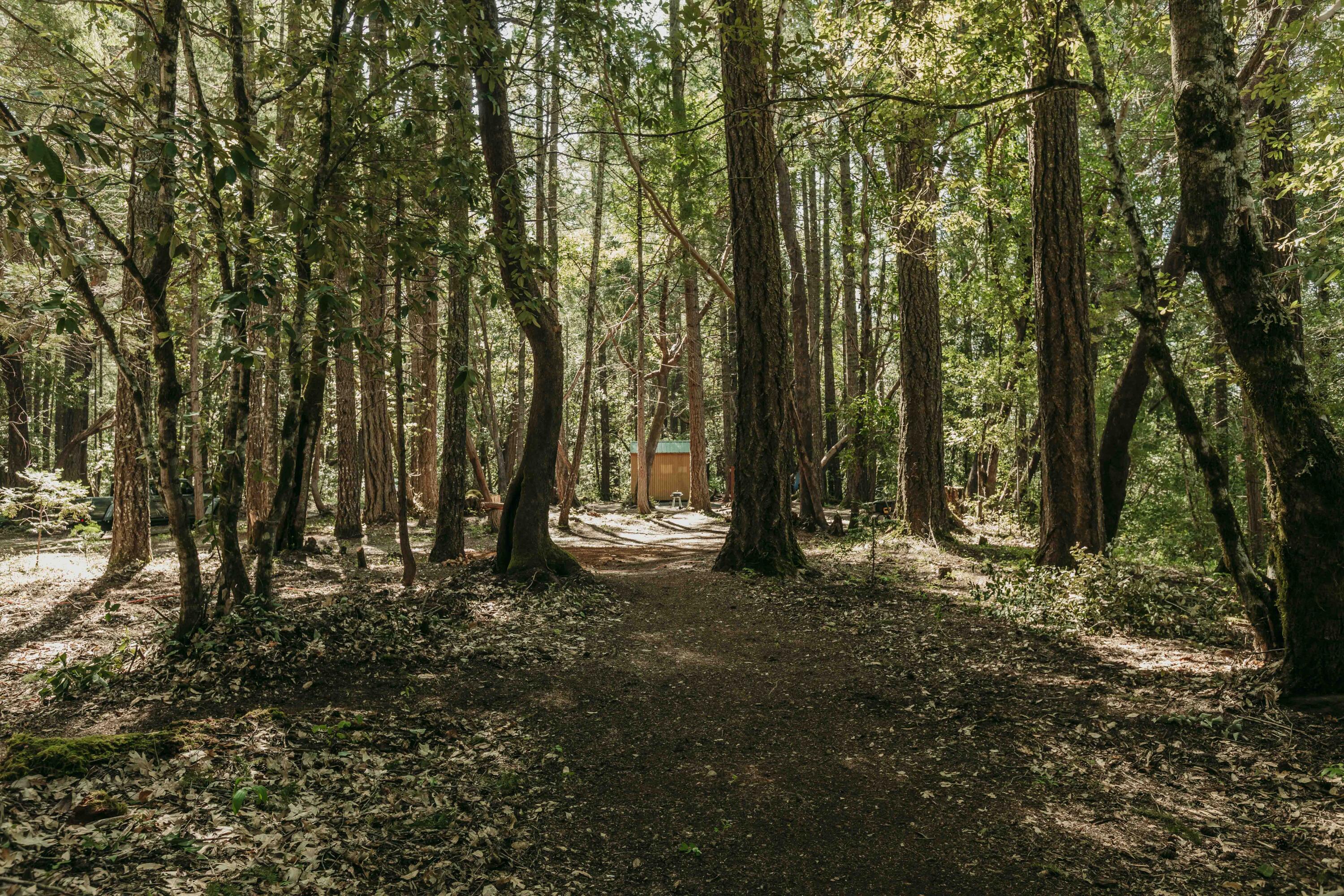 Harbeck Place (1900) Subdivision - Land