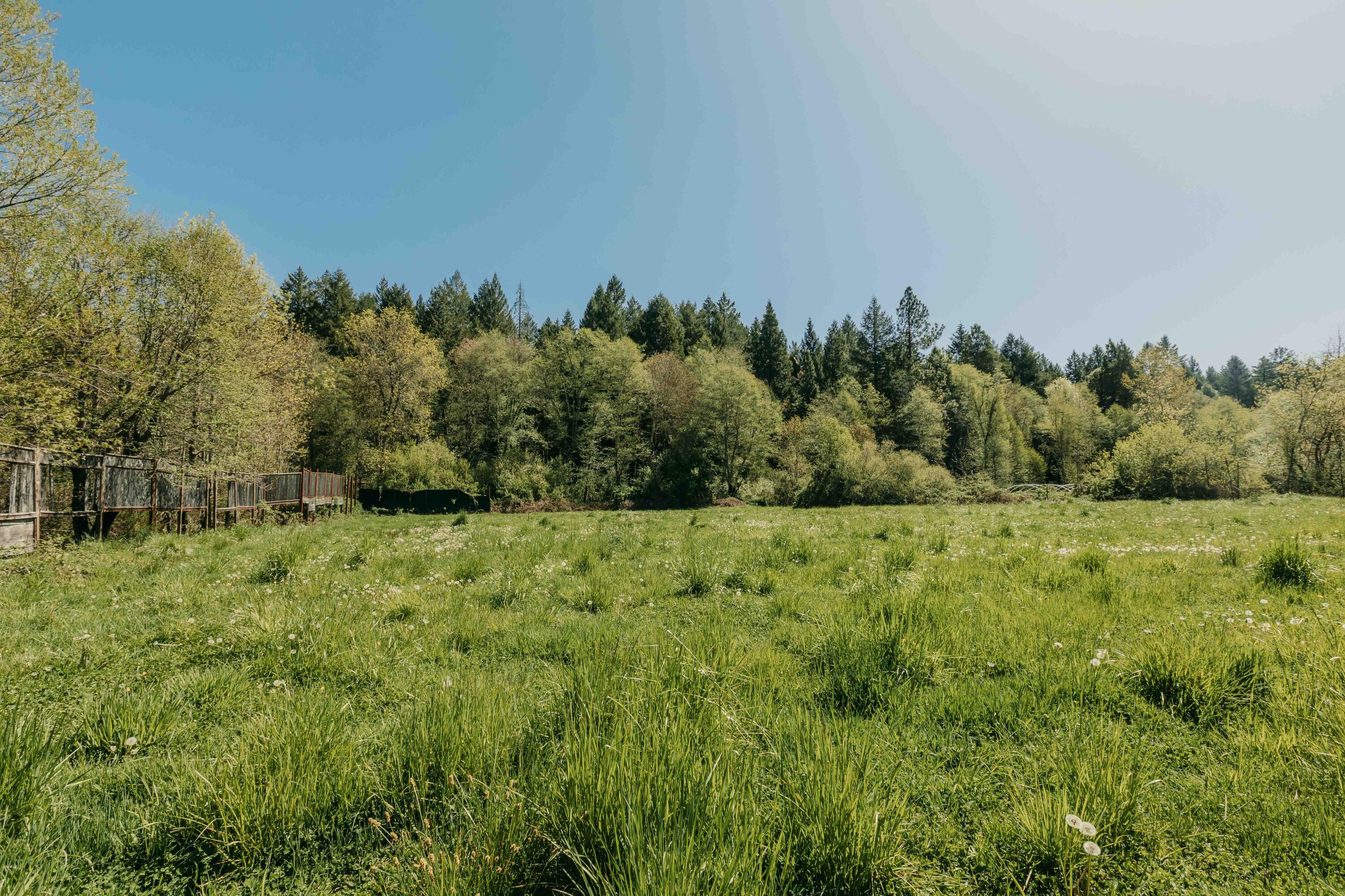 Harbeck Place (1900) Subdivision - Land