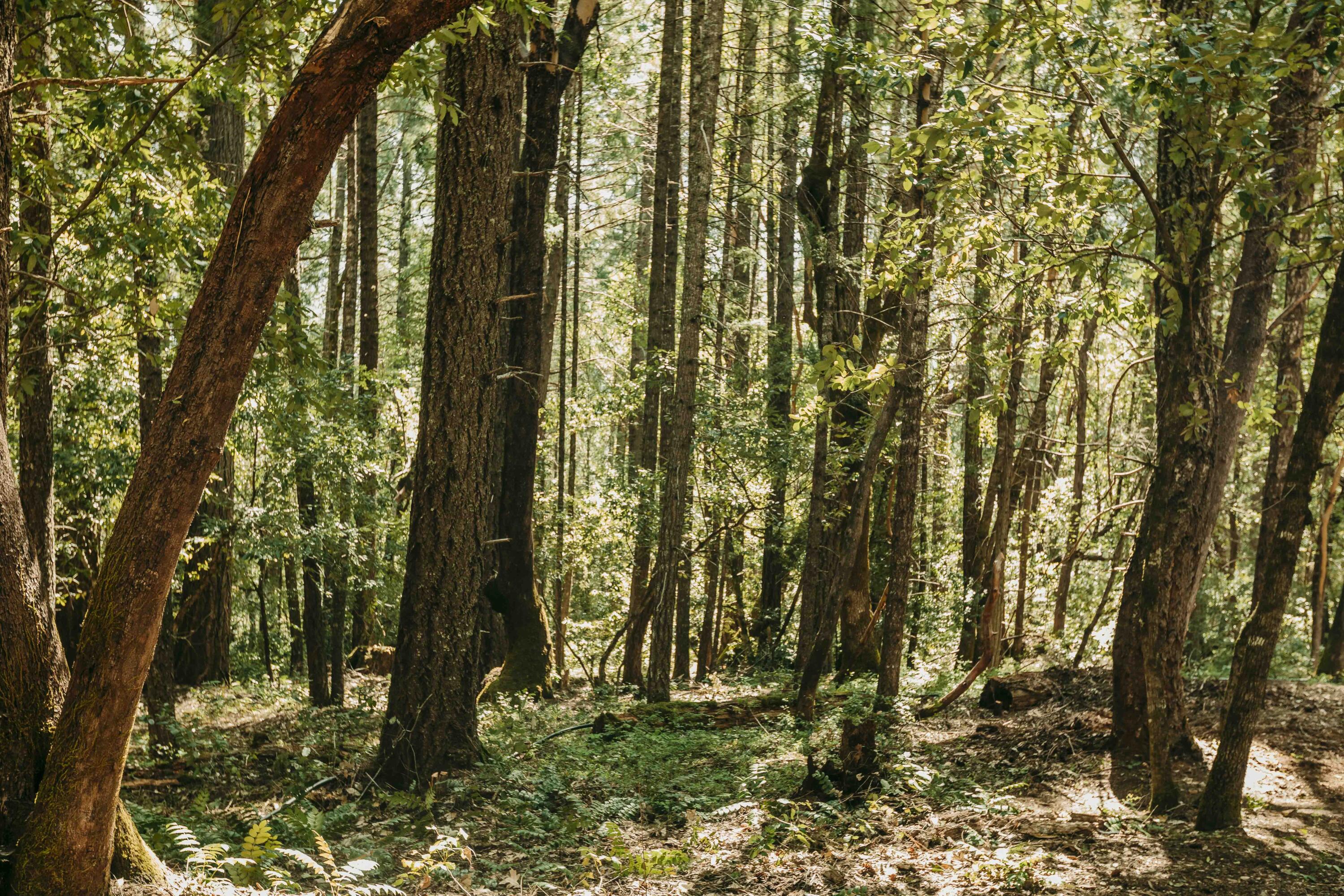 Harbeck Place (1900) Subdivision - Land