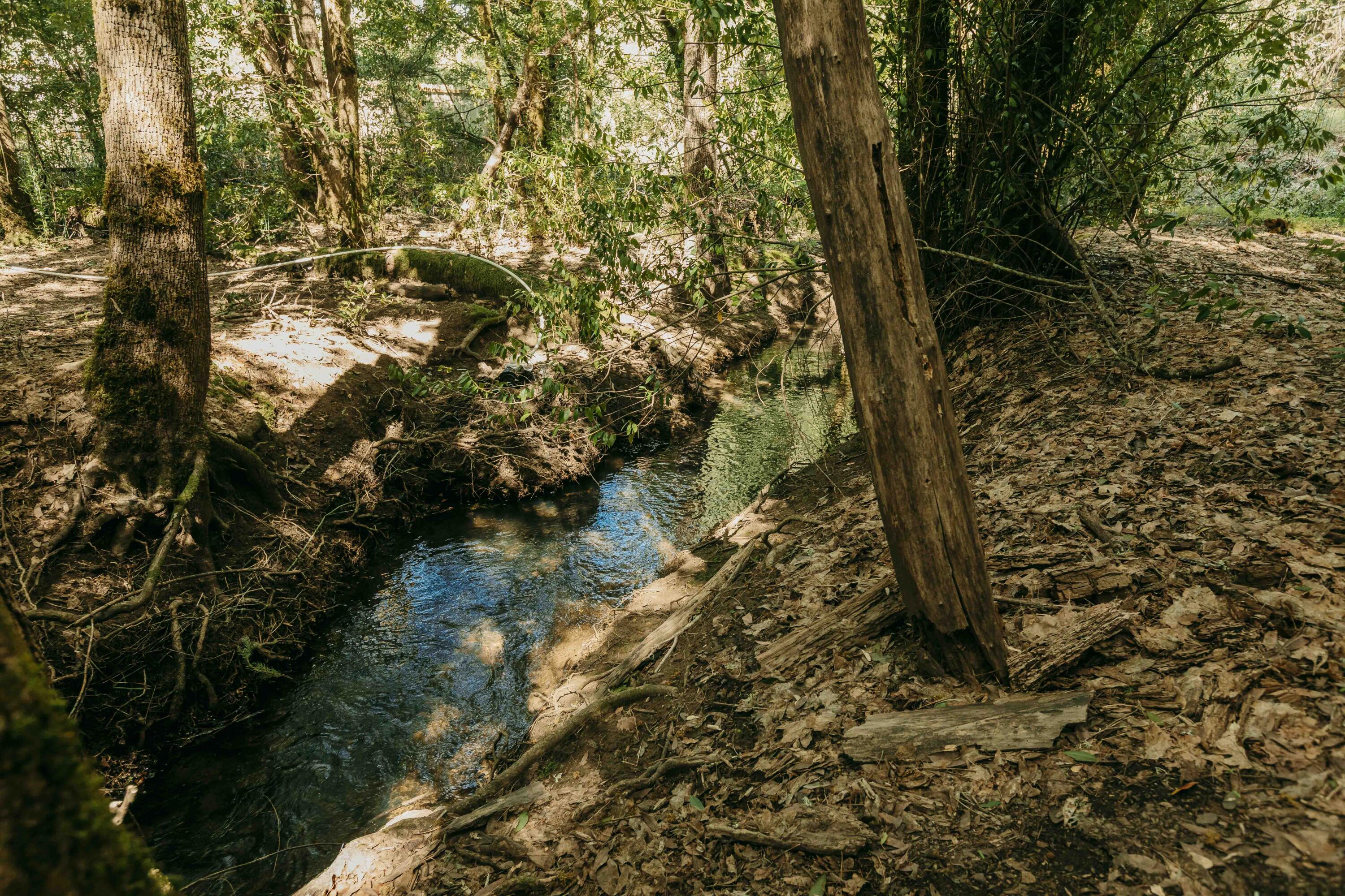 Harbeck Place (1900) Subdivision - Land