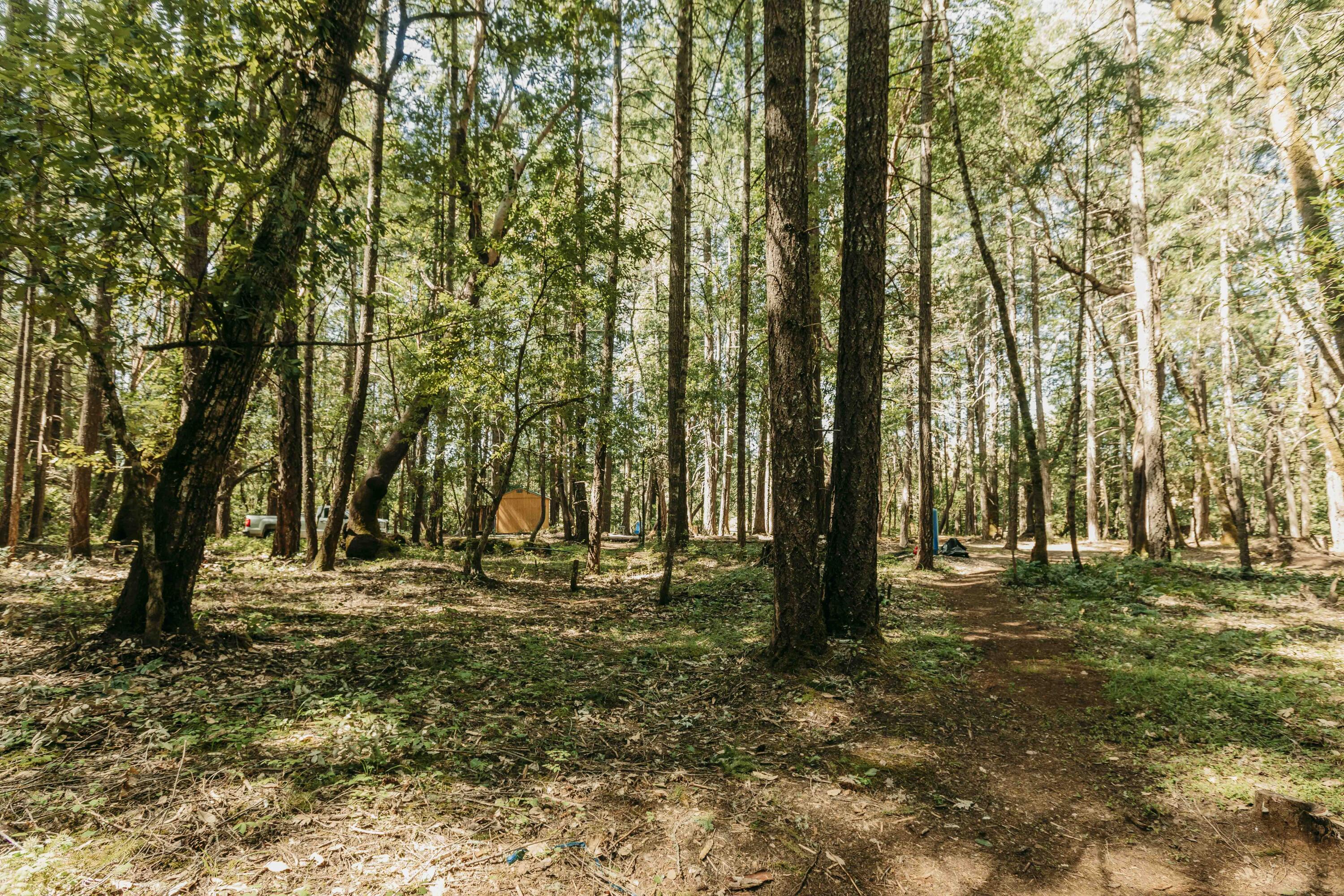 Harbeck Place (1900) Subdivision - Land