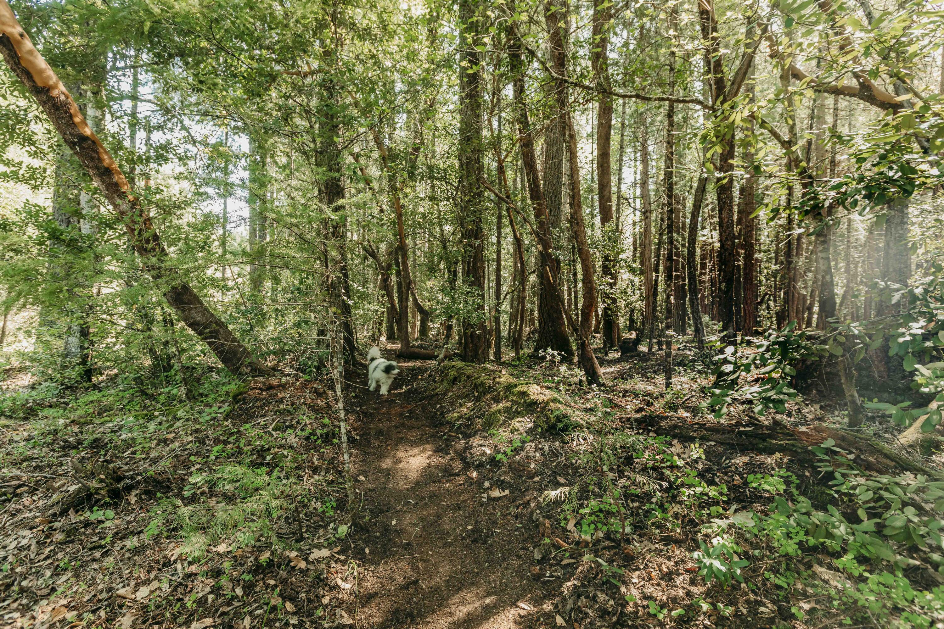 Harbeck Place (1900) Subdivision - Land